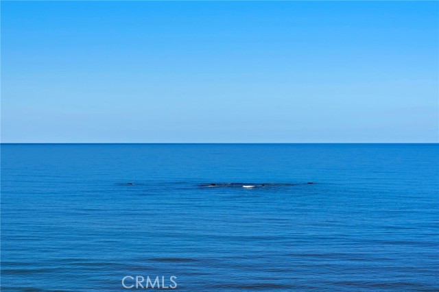 San Clemente, California, 92672, United States, 2 Bedrooms Bedrooms, ,3 BathroomsBathrooms,Residential,For Sale,1763728