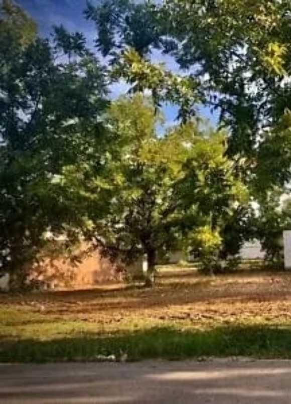MANZANA 14, Torreón, Coahuila de Zaragoza, 27400, Mexico, 1 Bedroom Bedrooms, ,Residential,For Sale,MANZANA 14,1610050