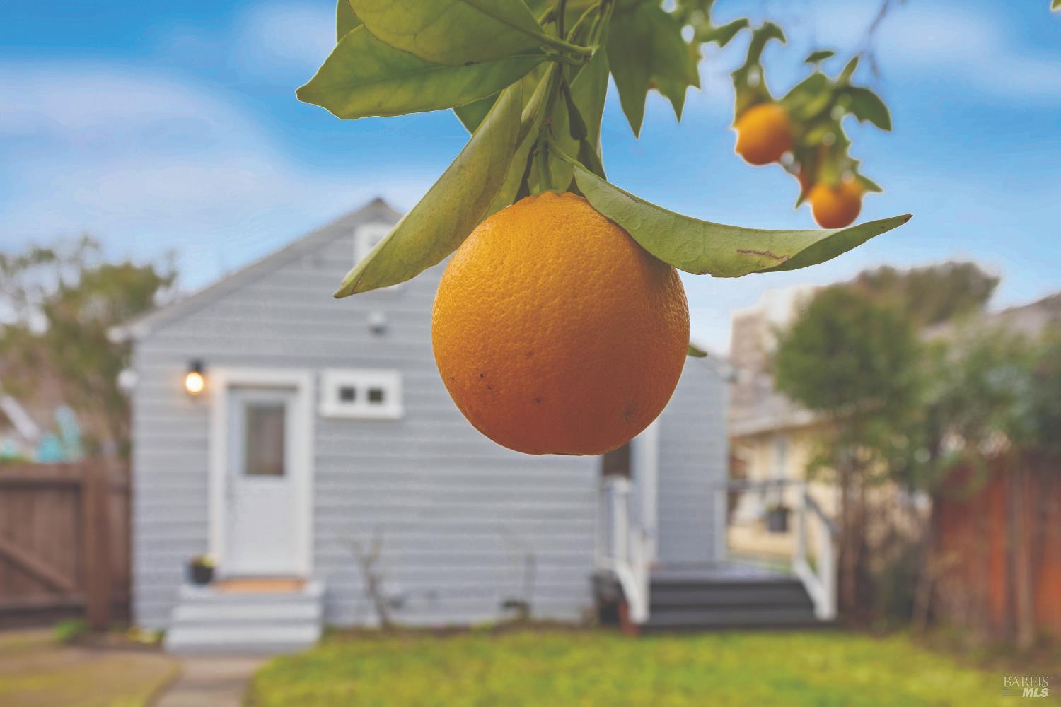 Santa Rosa, California, 95404, United States, 2 Bedrooms Bedrooms, ,2 BathroomsBathrooms,Residential,For Sale,2013277