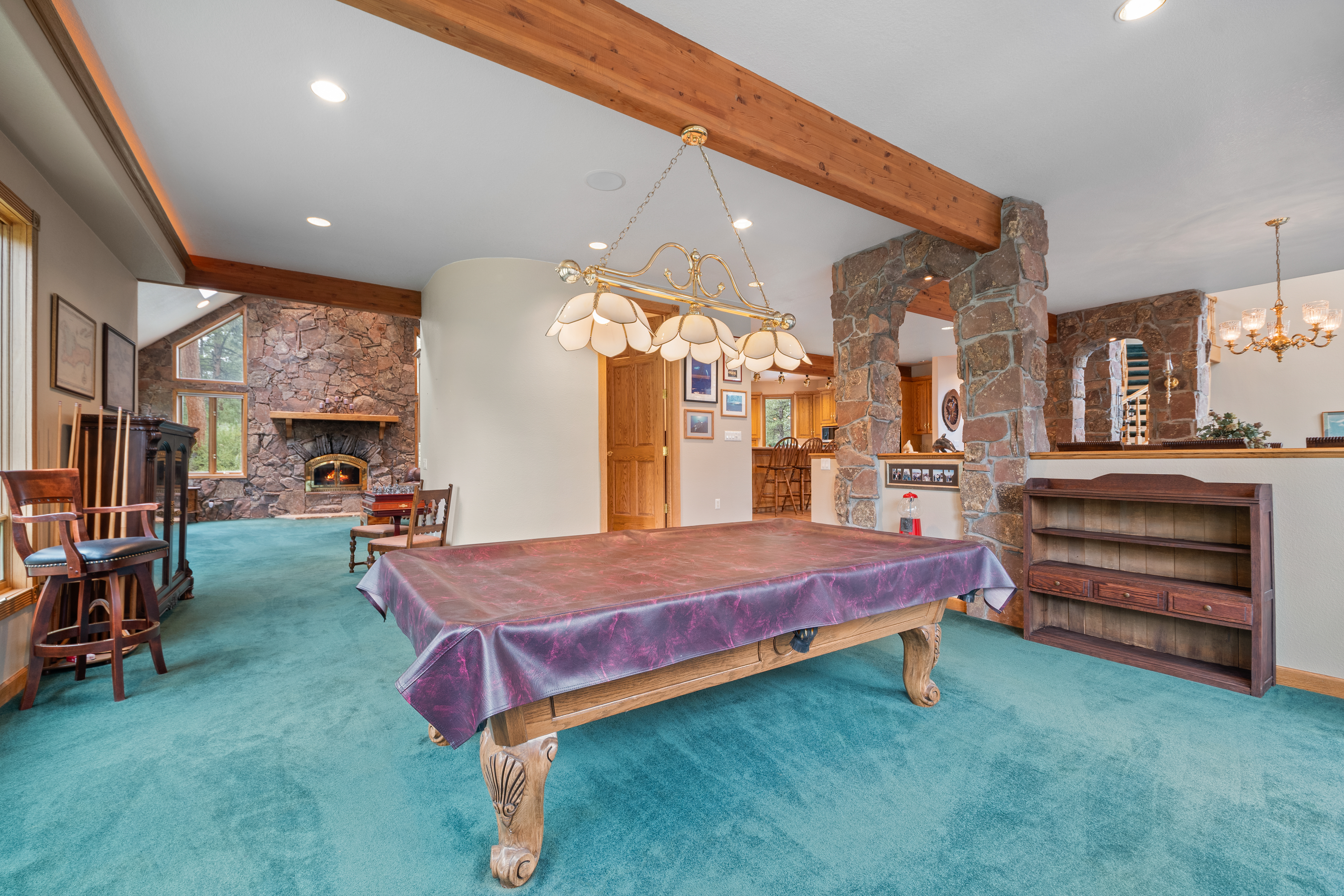  Perfect Blend of Space and Colorado Living That Backs to Pike National Forest - 物件實景