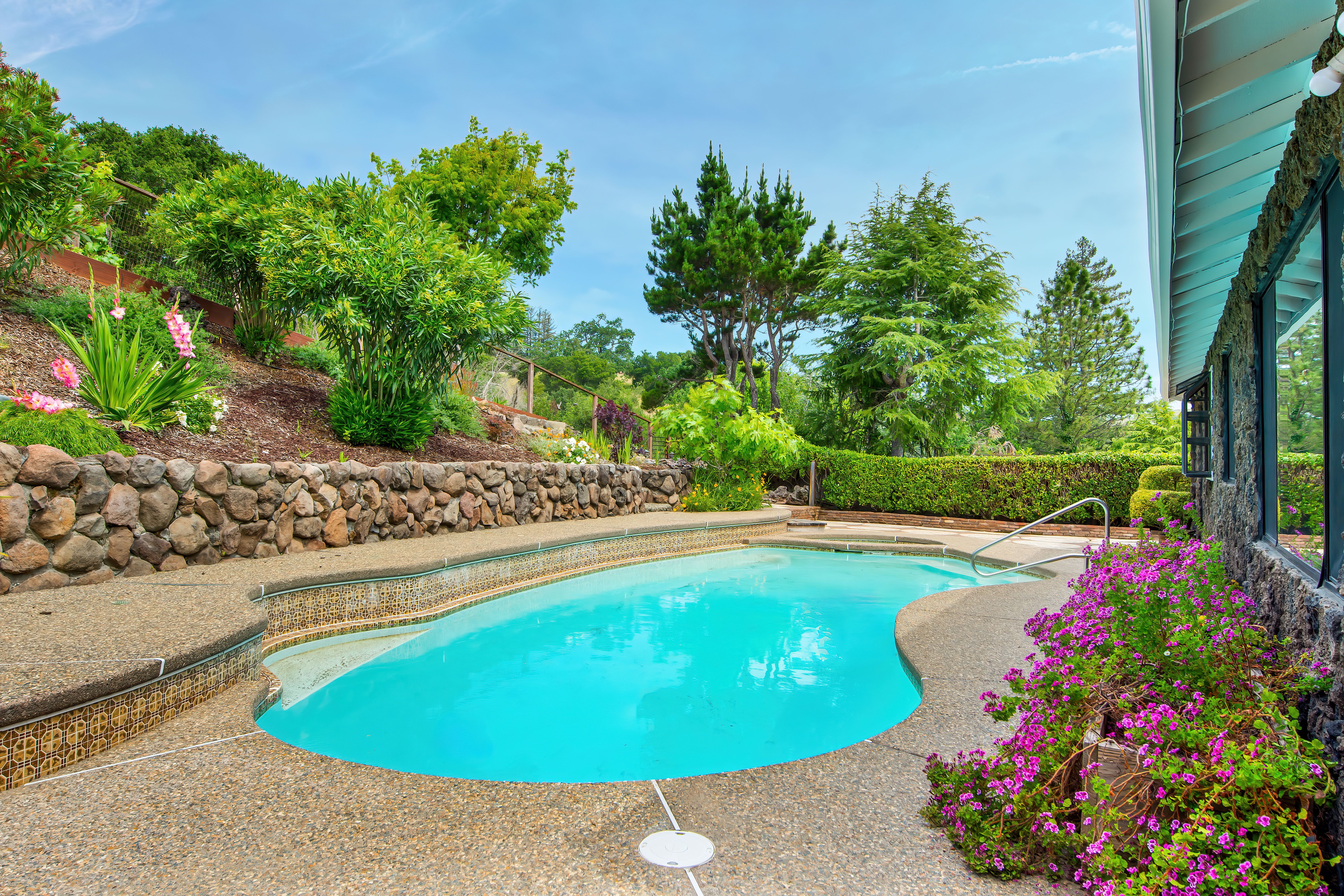  Centrally Located San Rafael Home - 物件實景