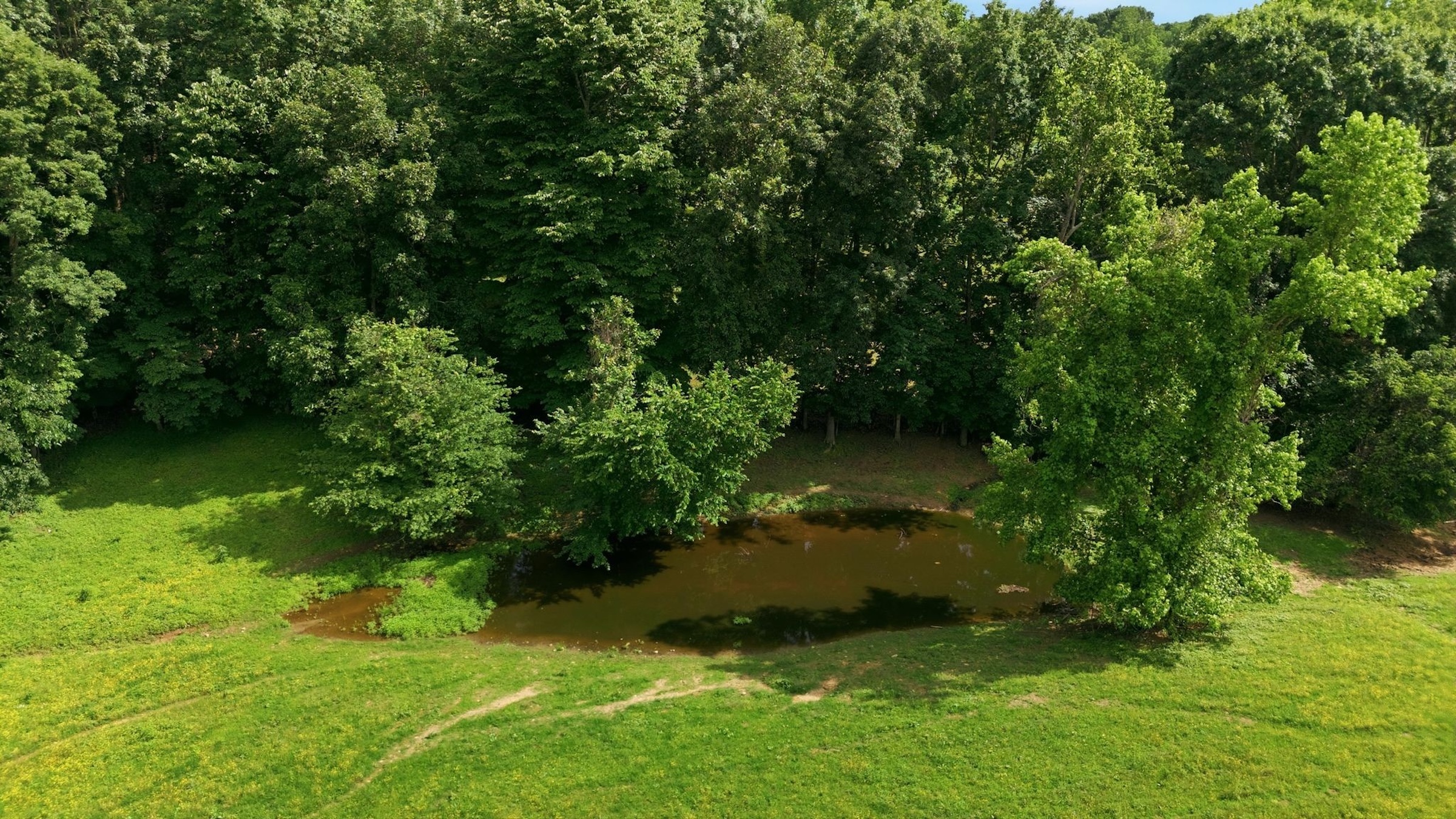  925 Sumac Rd, Pulaski, TN, 38478 - 物件實景
