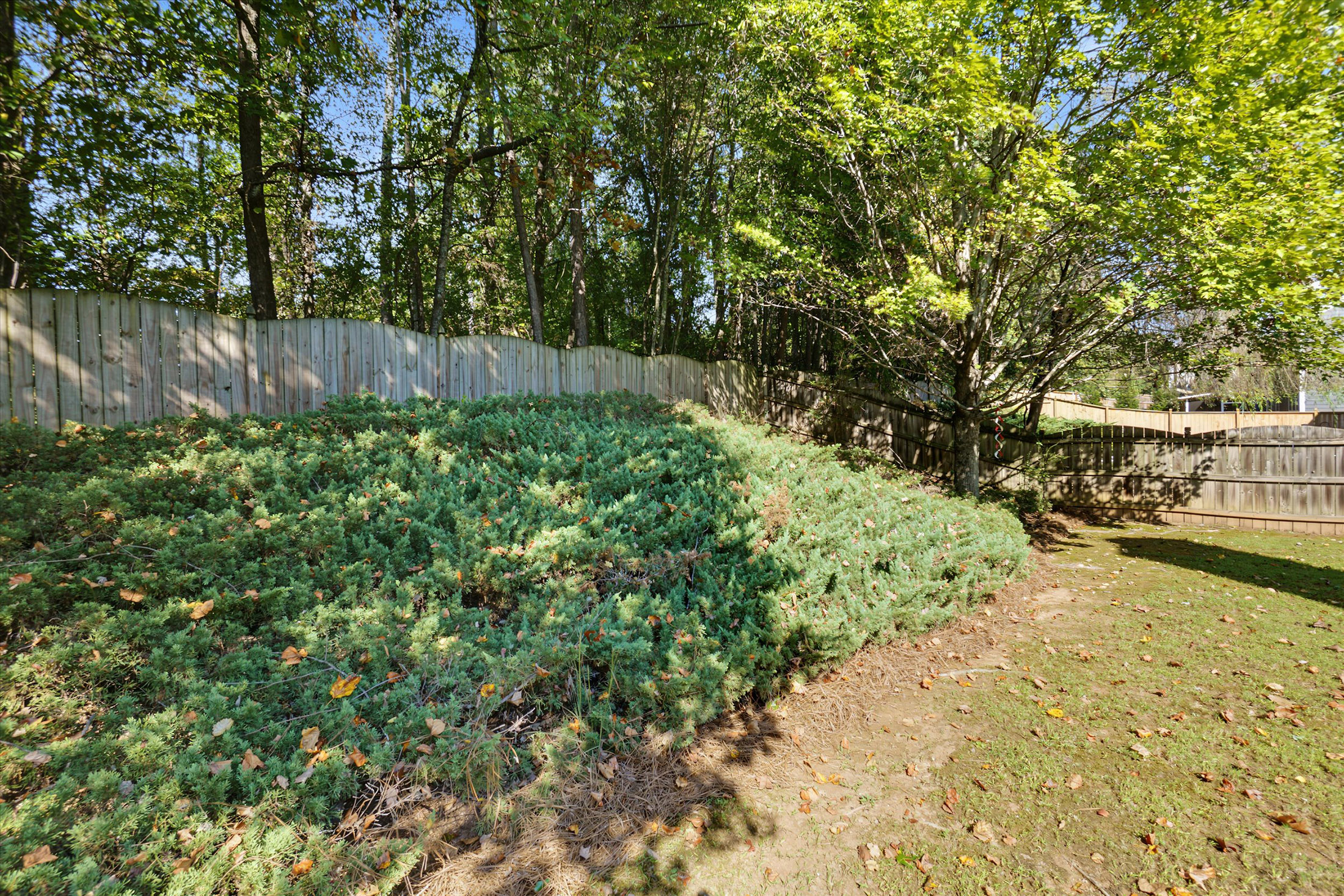  Beautifully Maintained Home in Highly Desirable Woodlands Community - 物件實景