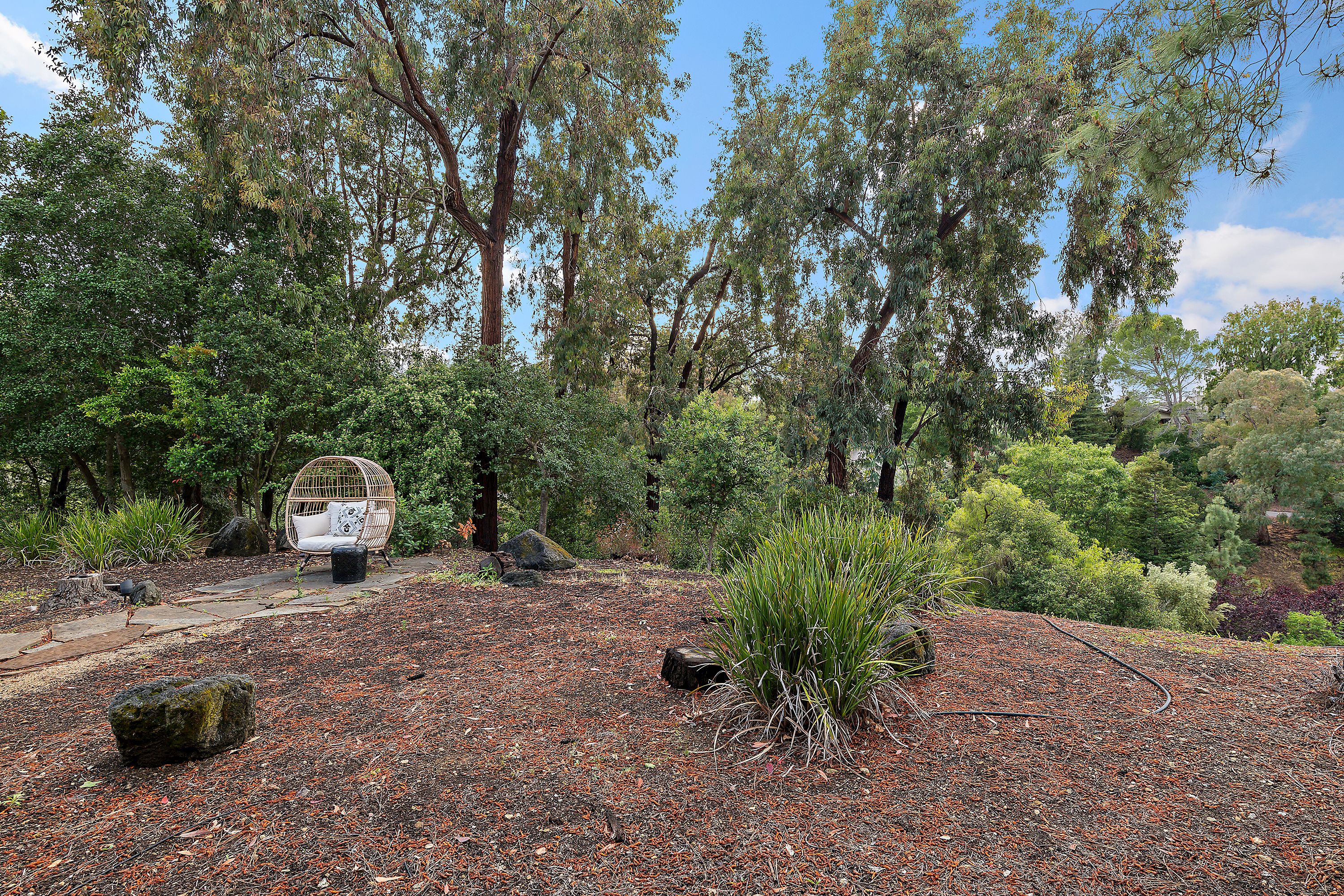  Private, Light-Filled Residence in Exclusive Rinconada Hills - 物件實景