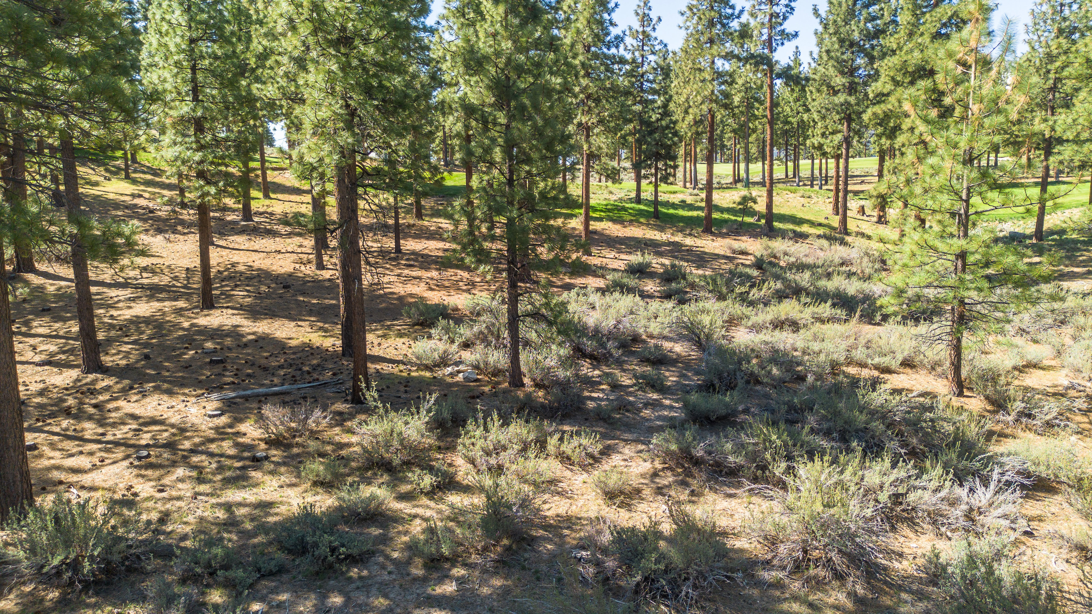  Two Extraordinary Pieces of Land in Clear Creek Tahoe - 物件實景