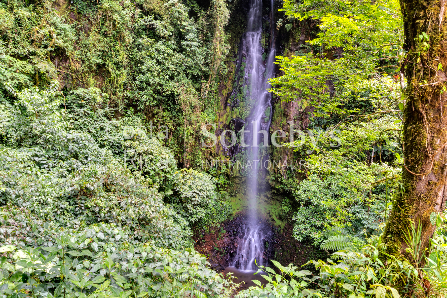  Hacienda Ecológica Río Toro - 物件實景