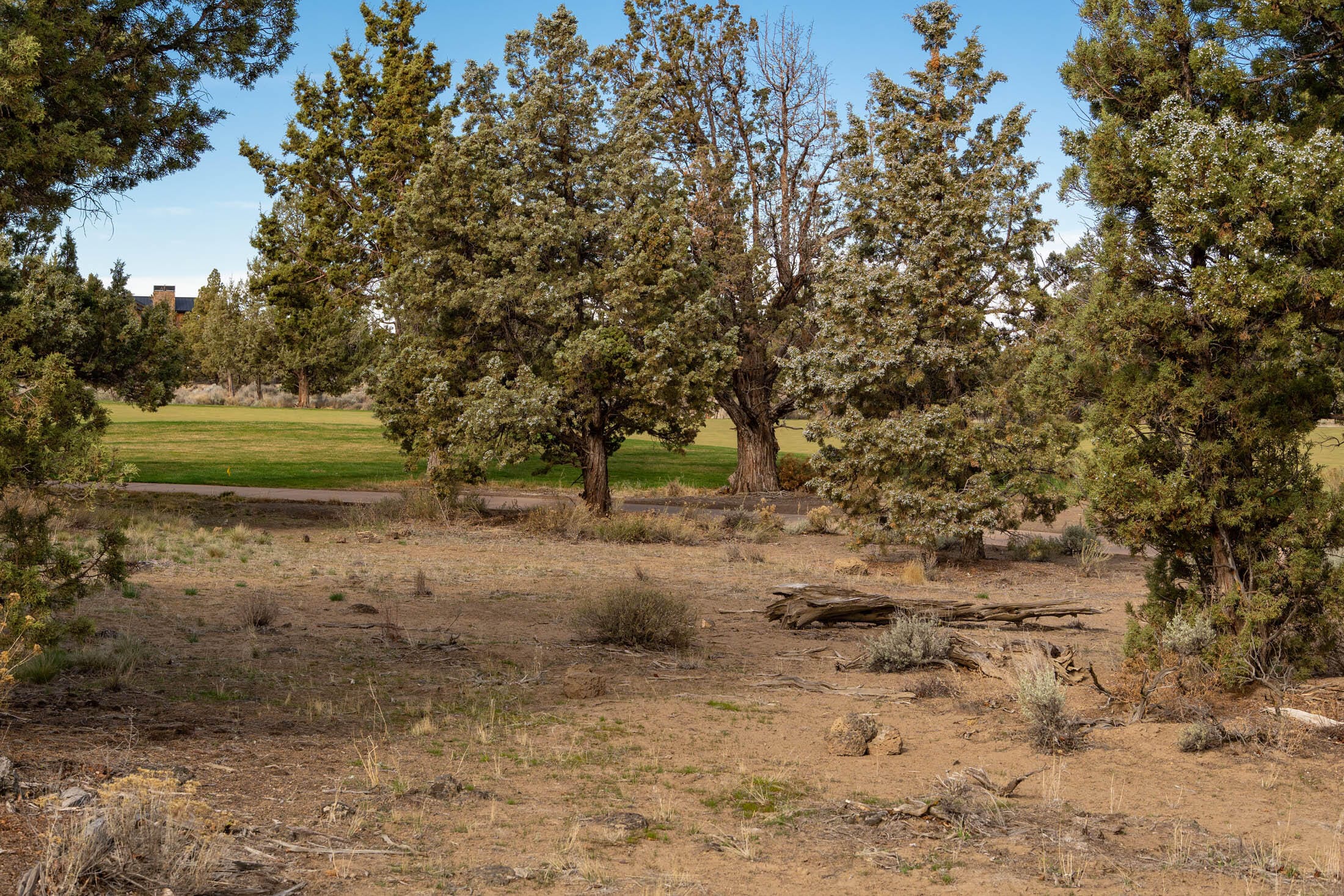  65833 Bearing Drive #Lot 130 Bend, OR 97701 - 物件實景