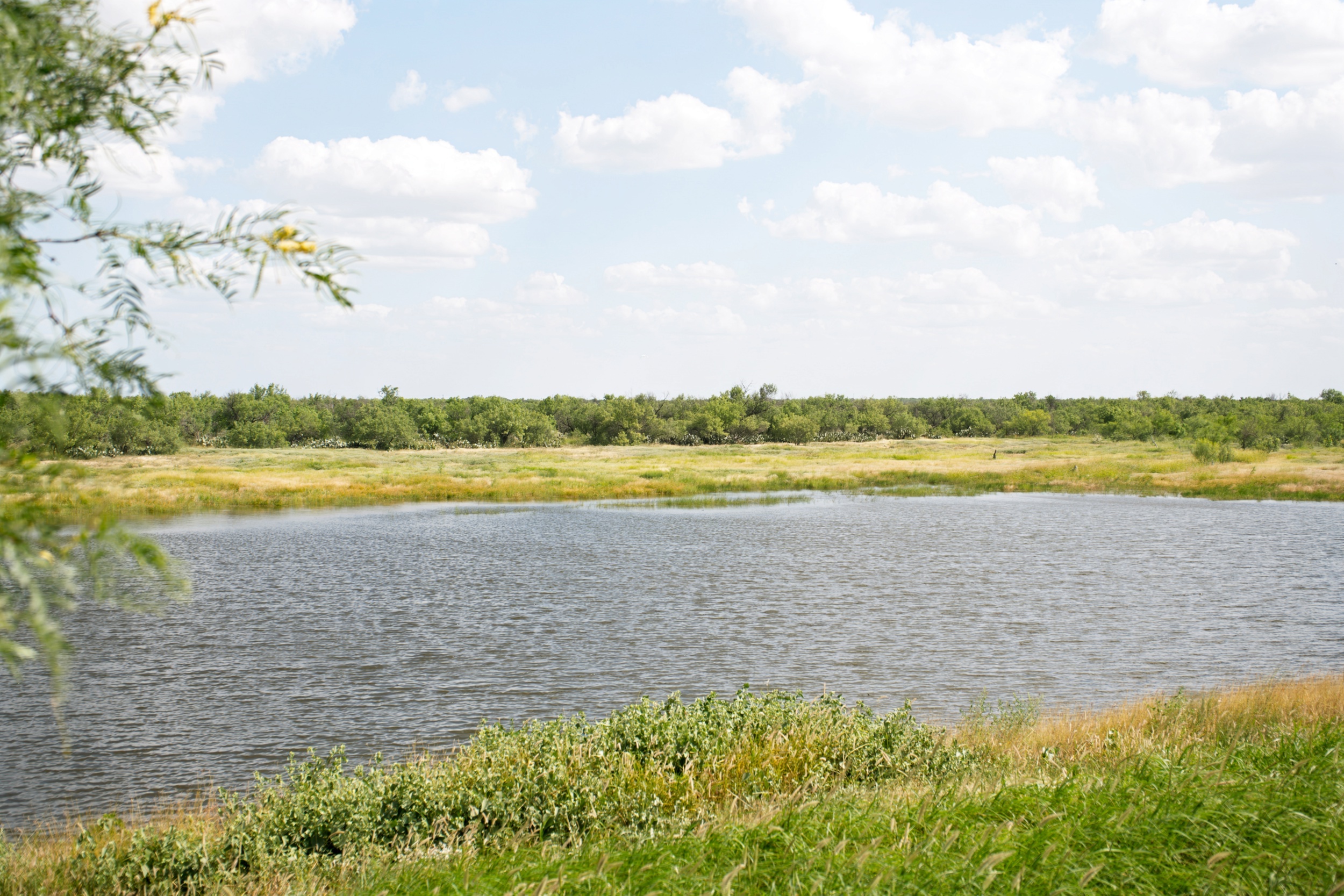  Moro Creek Ranch in Dimmit County - 物件實景