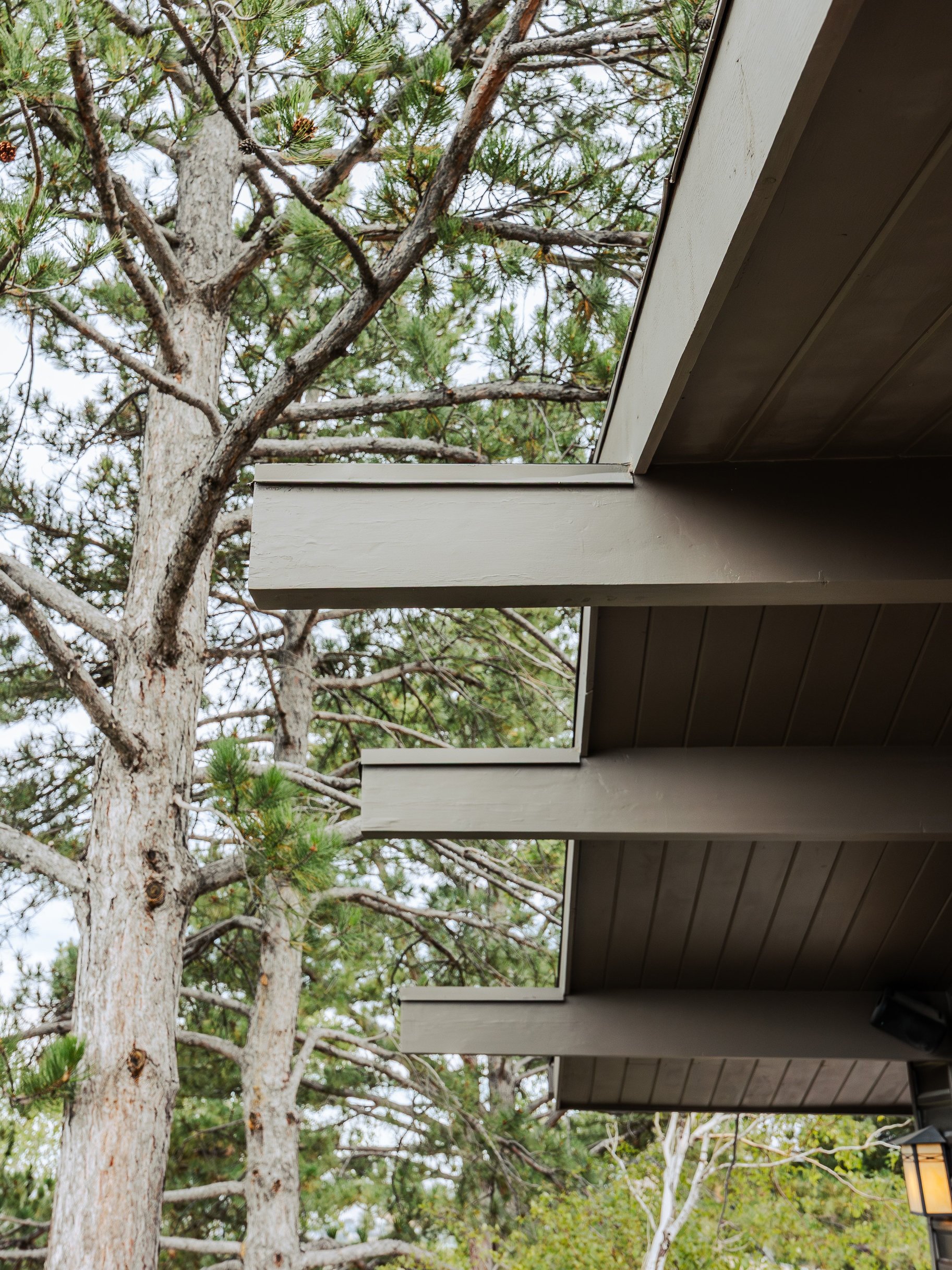  In the Tree Midcentury Modern Backing up to Shoreline Trail - 物件實景