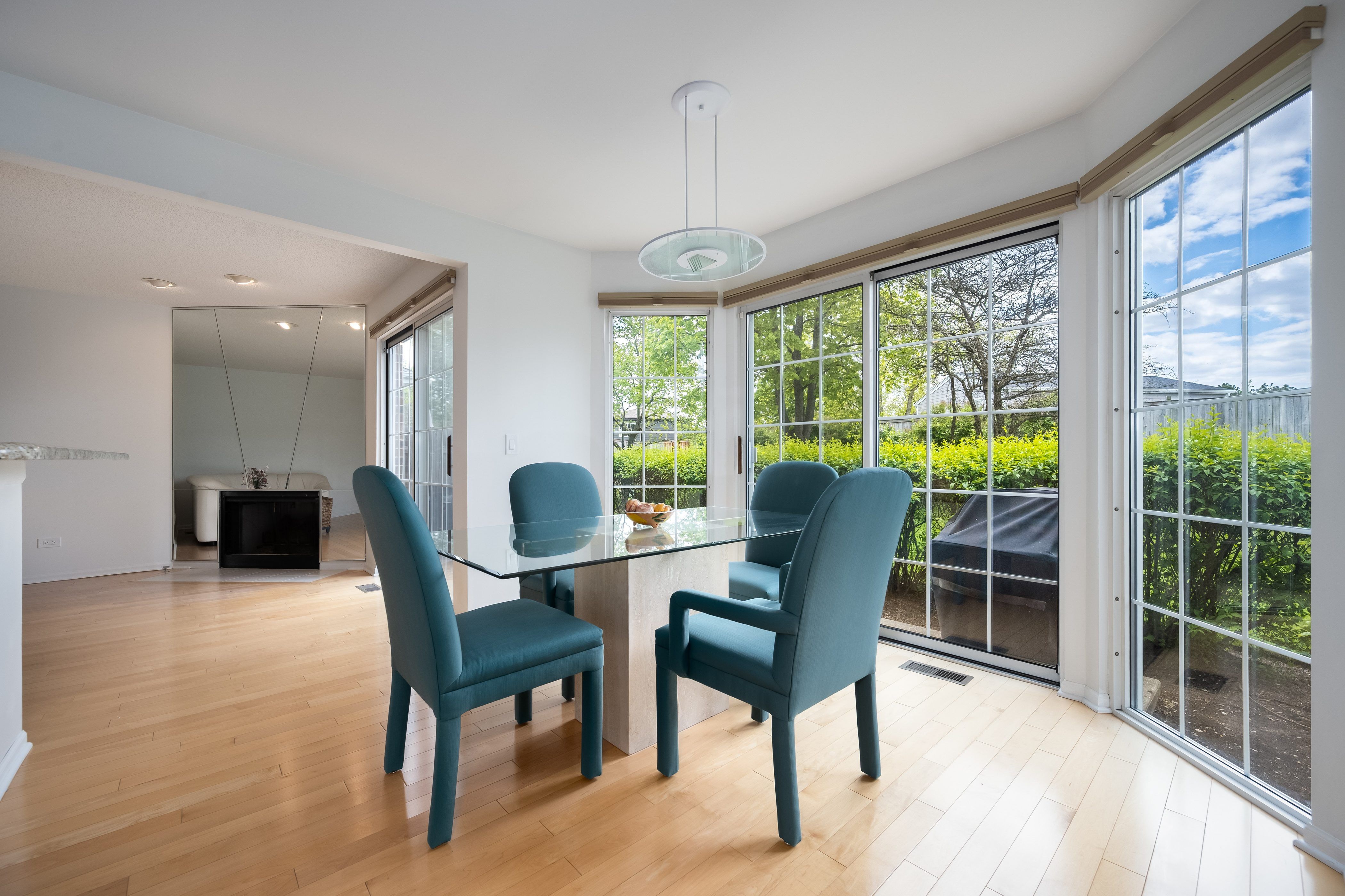  Two-Story Townhome in the Winchester Lane Subdivision of Northbrook - 物件實景