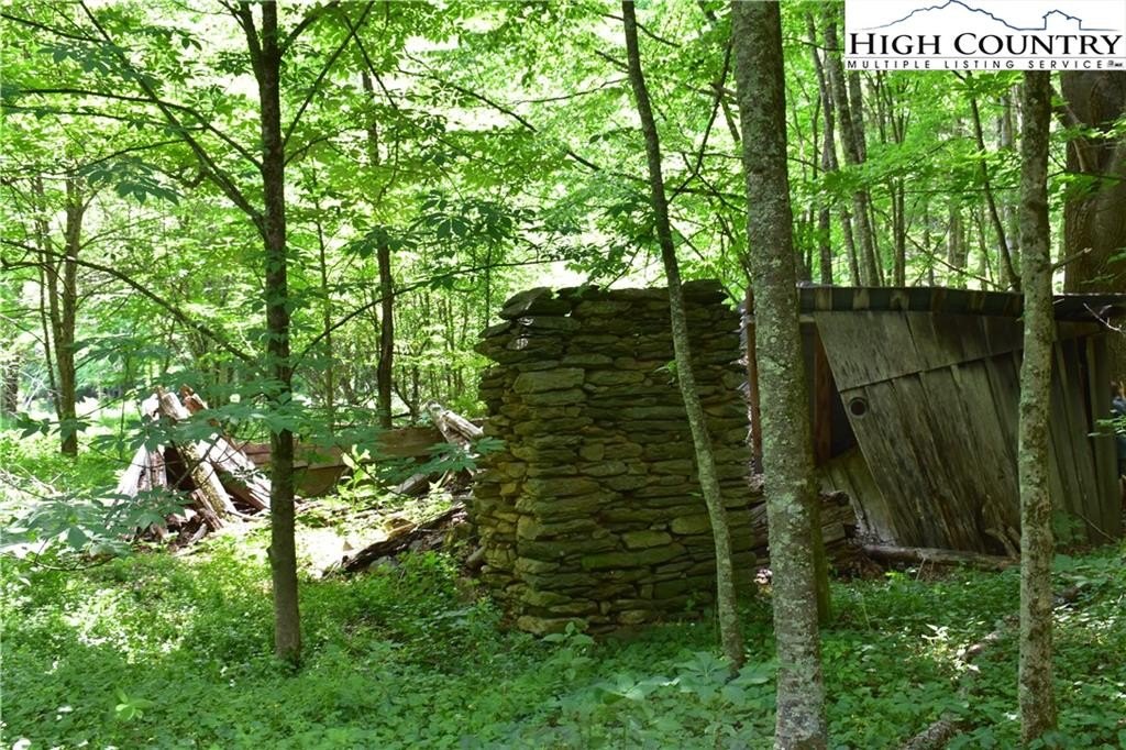 Warrensville, North Carolina, 28693, United States, ,Land,For Sale,1984173