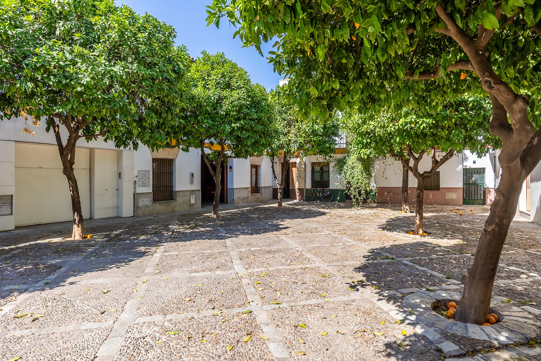  Modern duplex in the center of Seville - 物件實景