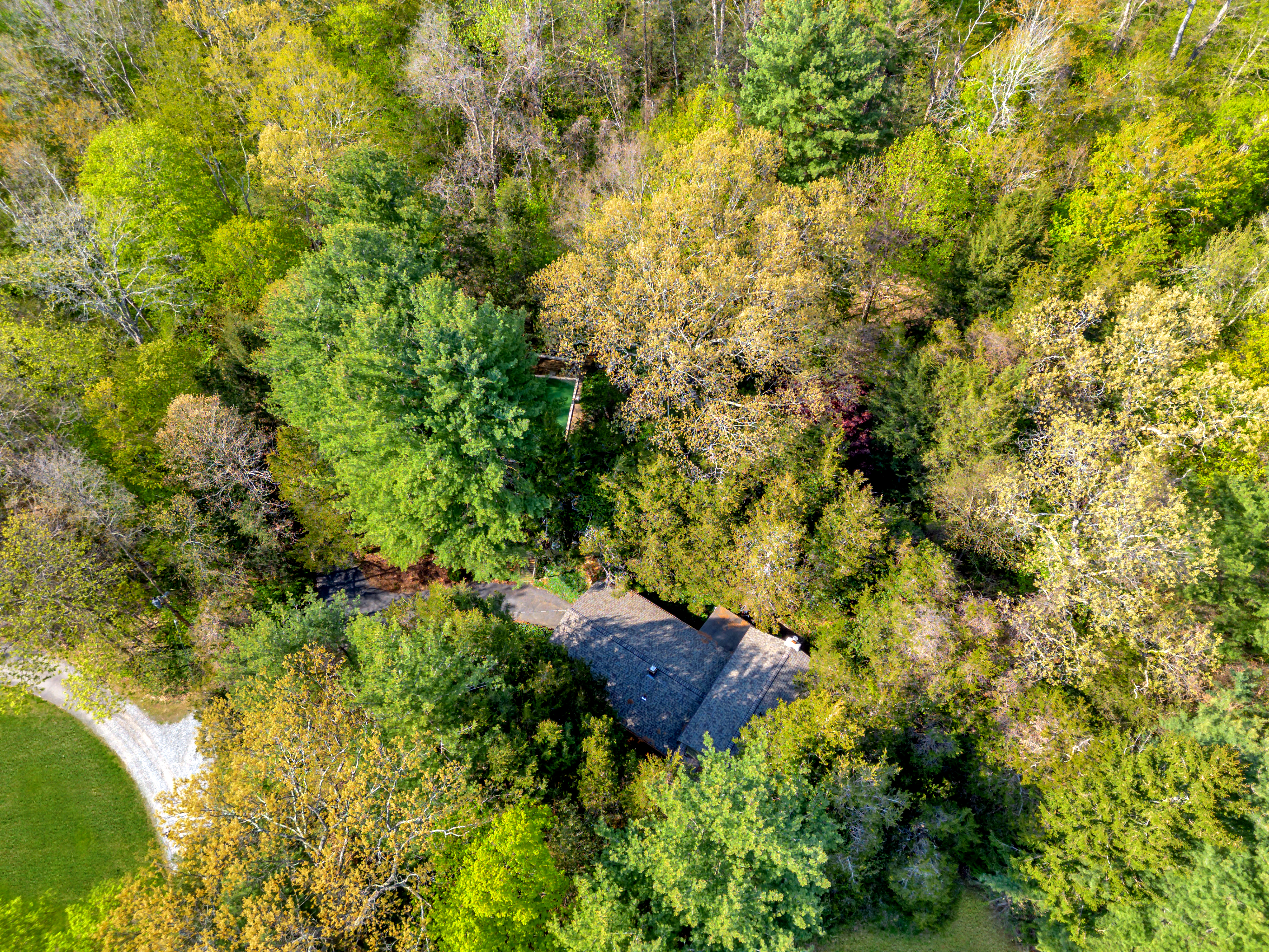  5 Bedroom Home on 2.9 Private Acres - 物件實景