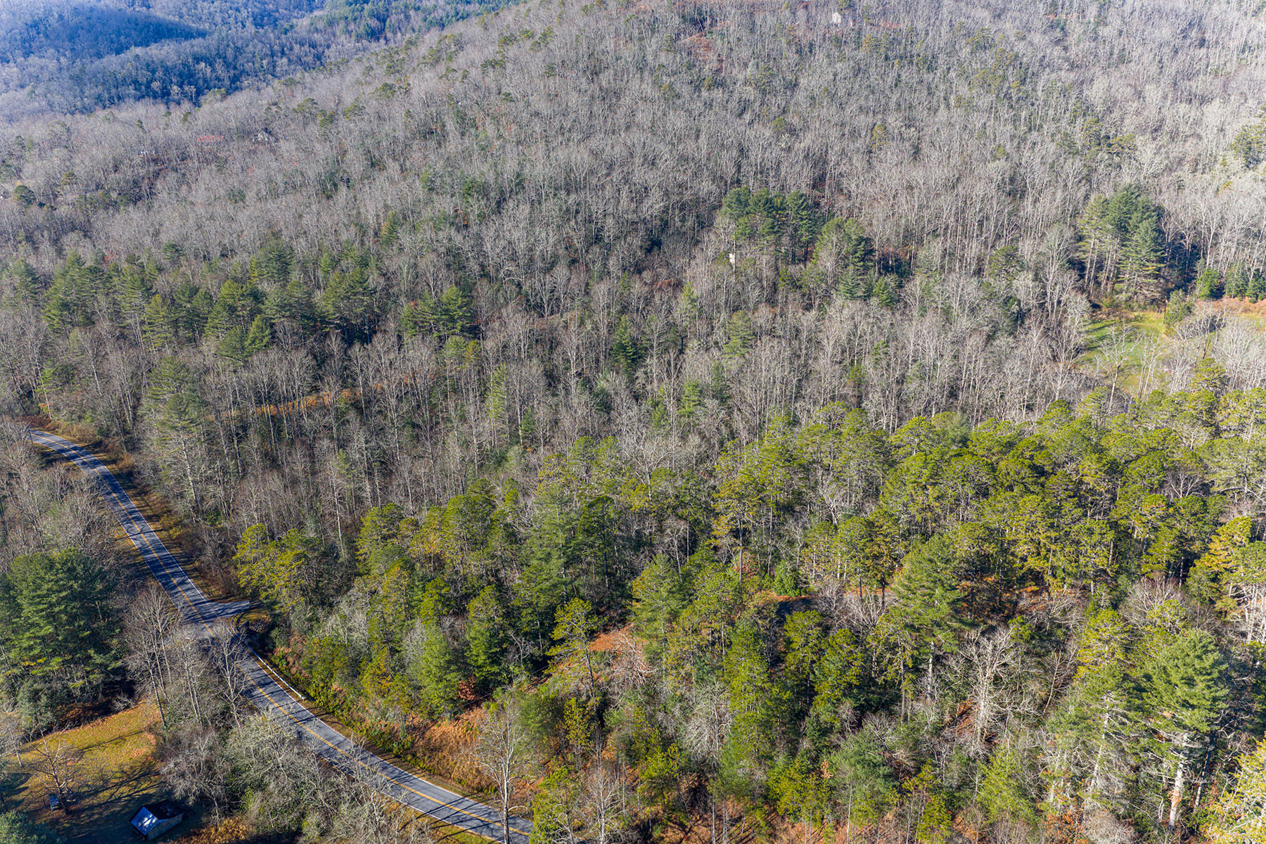  PISGAH FOREST - 物件實景
