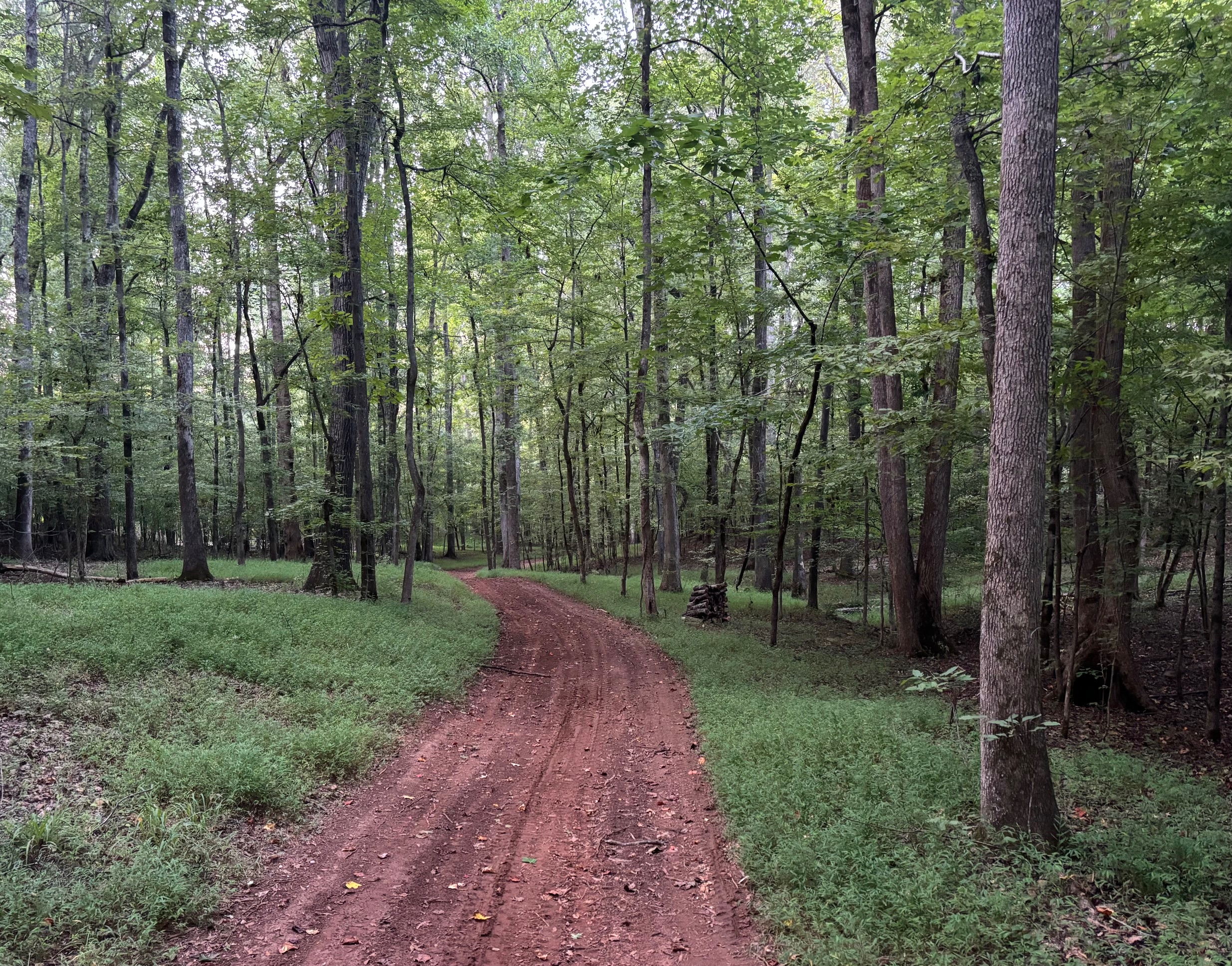  Extraordinary 86 Acre Private Estate - 物件實景