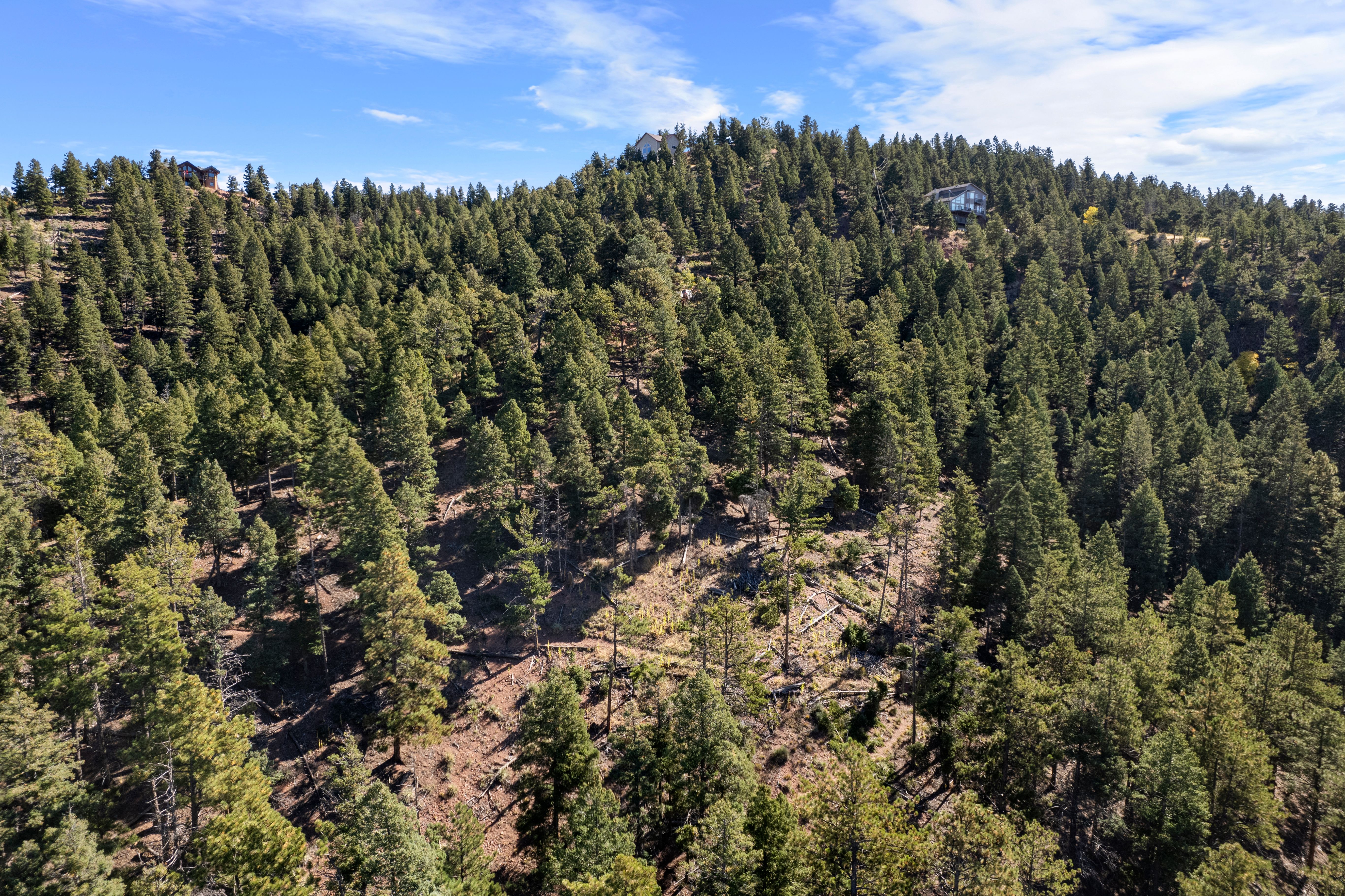  Nestled in the serene Woodmoor Mountain - 物件實景