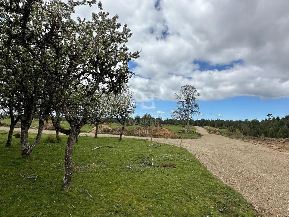 Maullín, Chile, ,Residential,For Sale,1994517