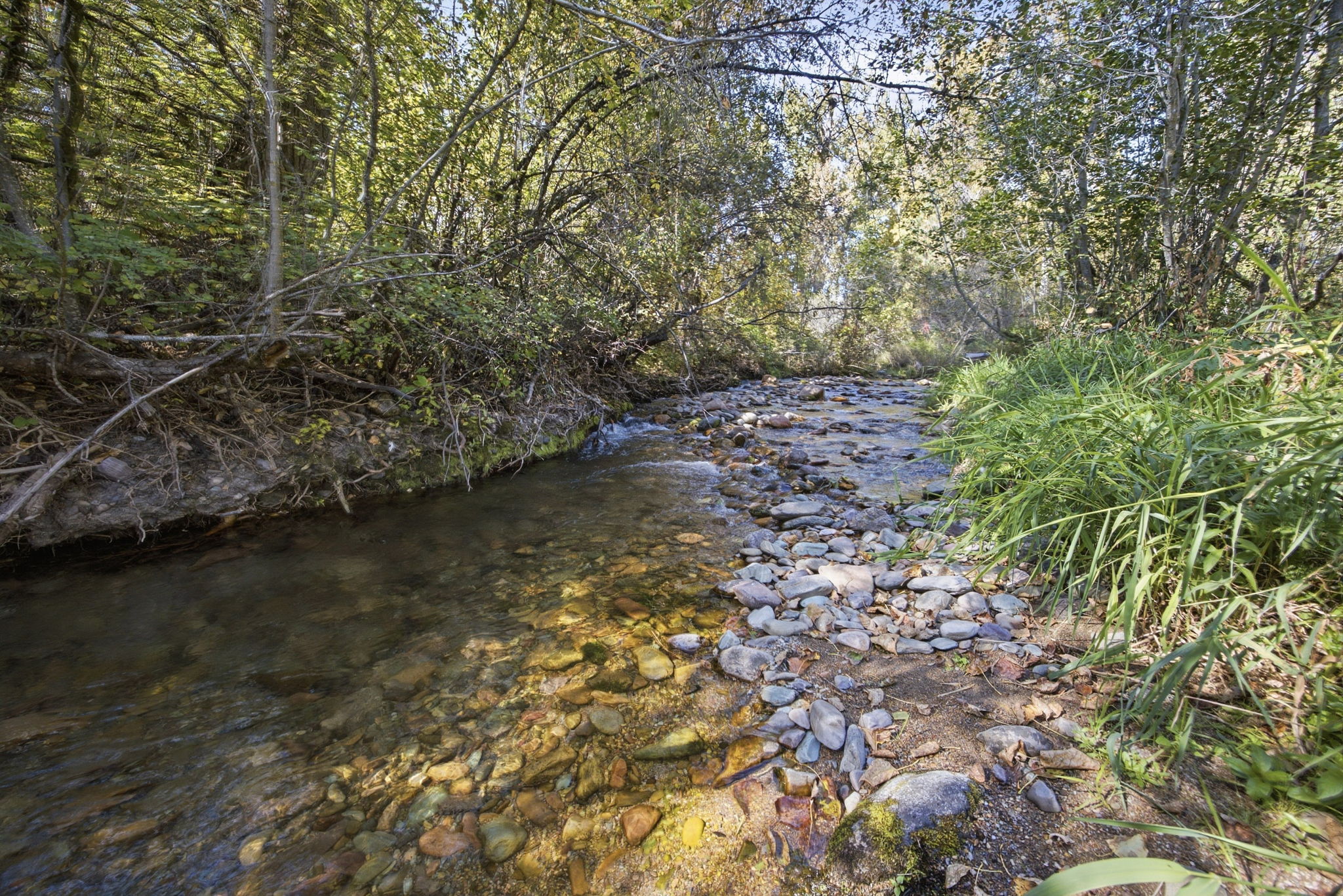  7755 grant  creek road - 物件實景