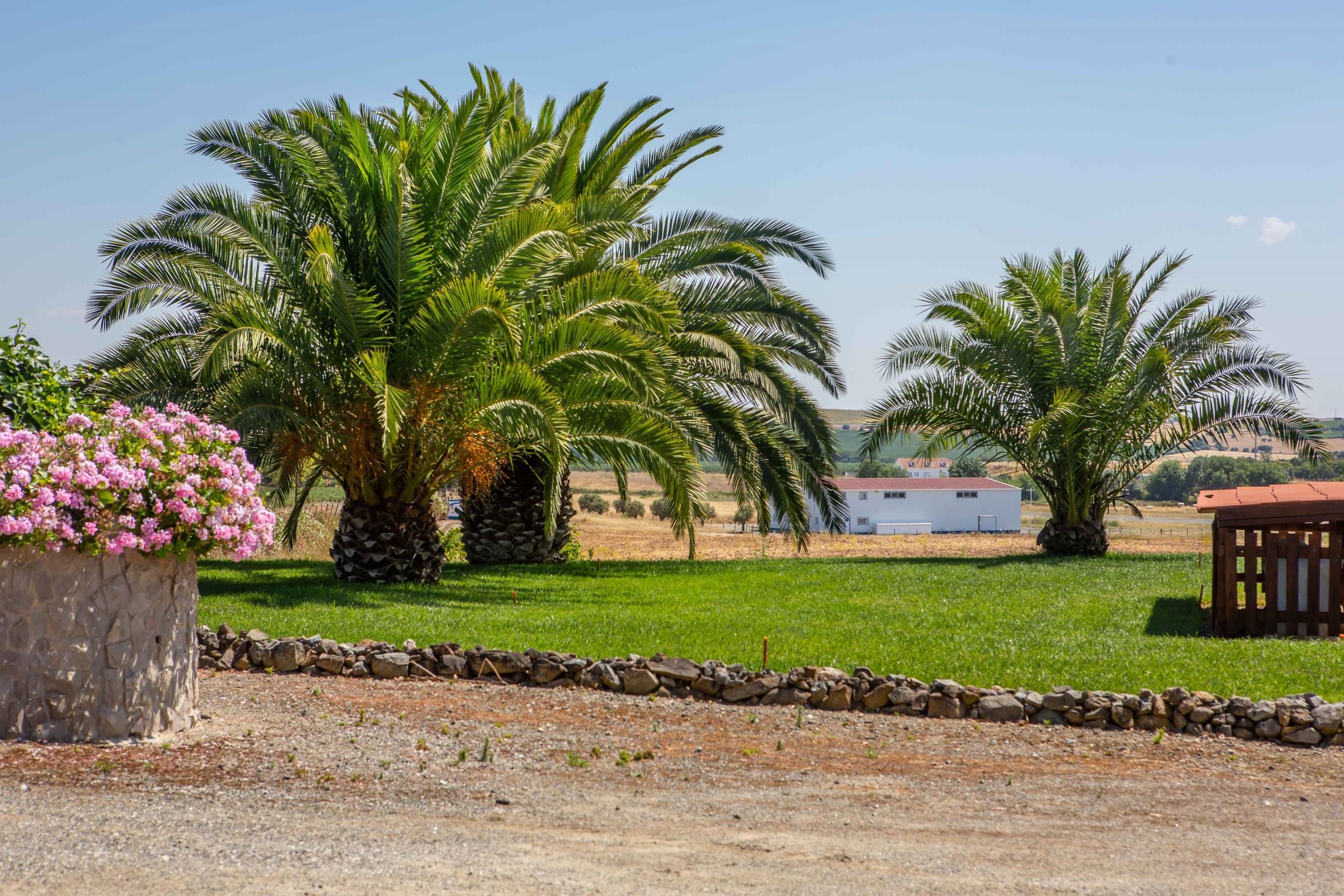 Ferreira do Alentejo, Beja, 7900-110, PT, 10 Bedrooms Bedrooms, ,11 BathroomsBathrooms,Residential,For Sale,1698854