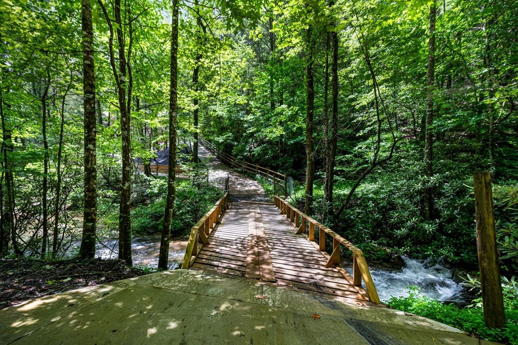 Ellijay, Georgia, 30540, United States, 5 Bedrooms Bedrooms, ,5 BathroomsBathrooms,Residential,For Sale,1868155