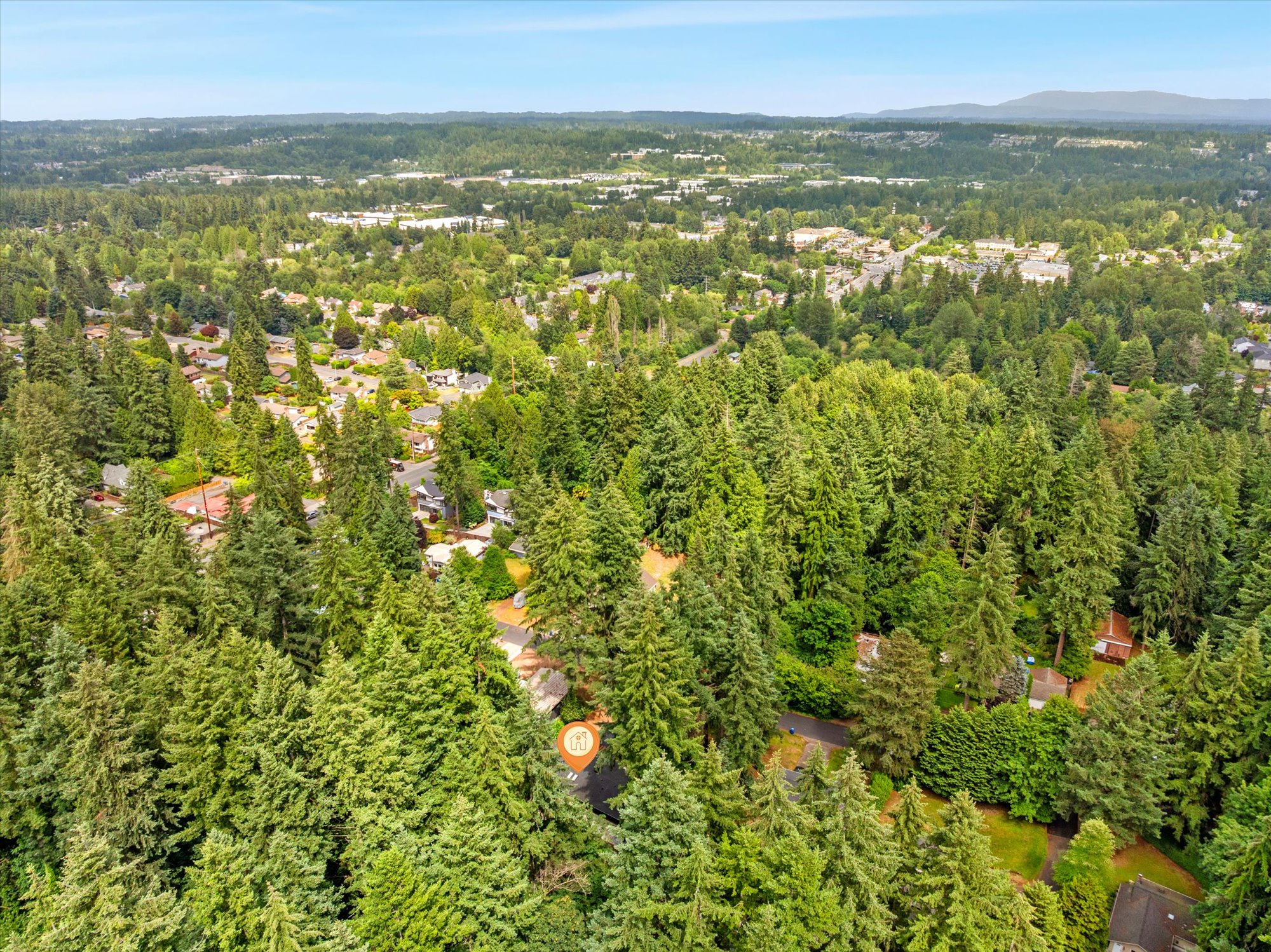  Cozy Nature Sanctuary in Bothell - 物件實景