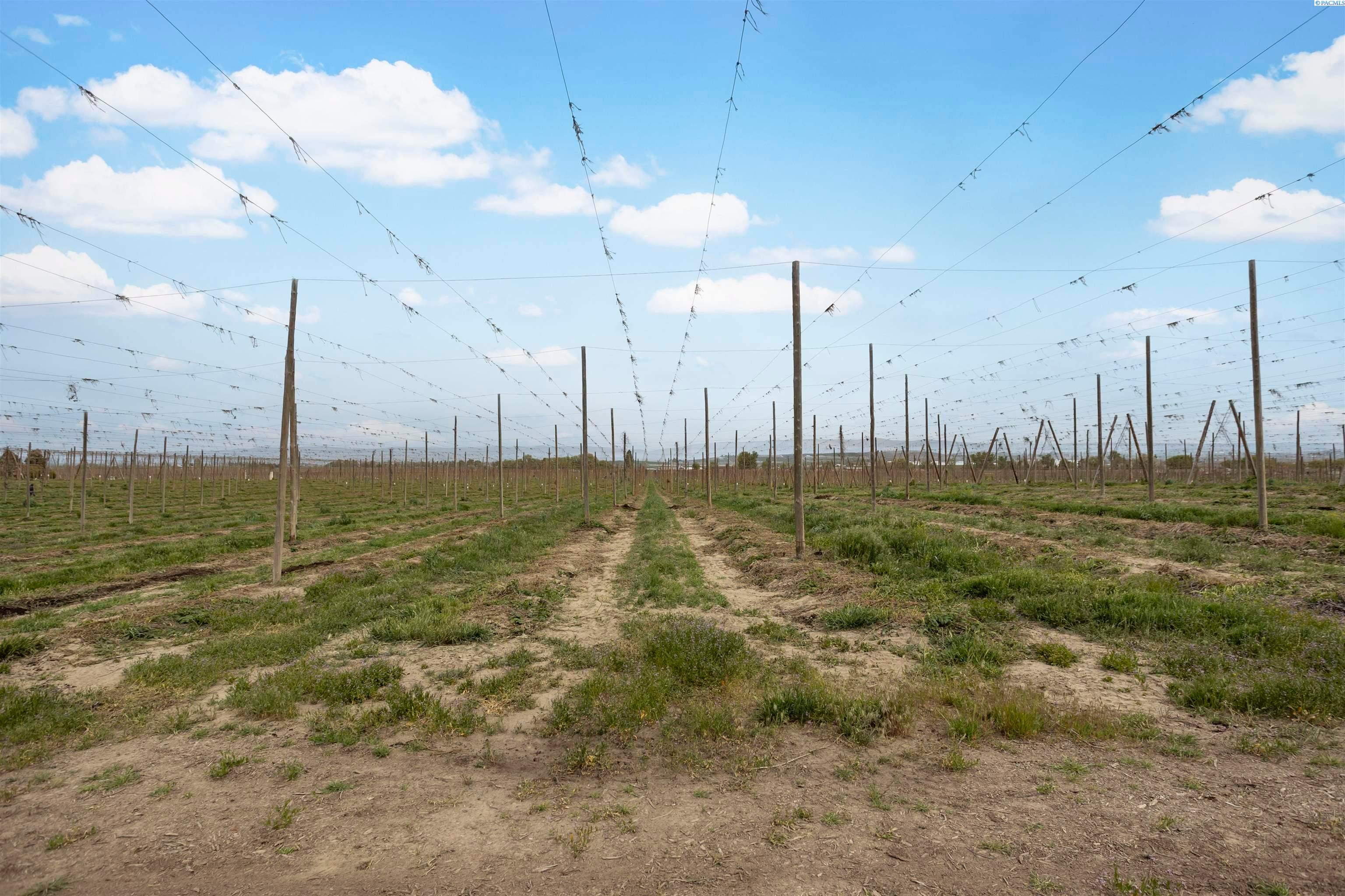 Grandview, Washington, 98930, United States, ,Land,For Sale,1981423