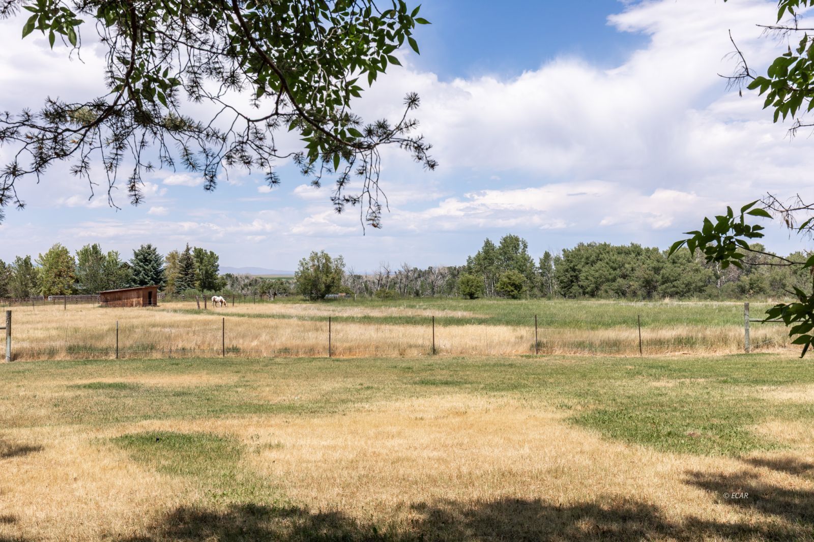 Lamoille, Nevada, 89828, United States, 4 Bedrooms Bedrooms, ,2 BathroomsBathrooms,Residential,For Sale,1897372