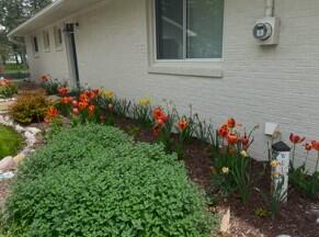 Ocqueoc, Michigan, 49759, United States, 3 Bedrooms Bedrooms, ,2 BathroomsBathrooms,Residential,For Sale,1828609