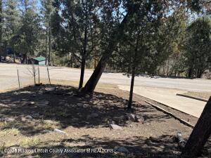 Ruidoso, New Mexico, 88345, United States, 3 Bedrooms Bedrooms, ,3 BathroomsBathrooms,Residential,For Sale,1770584
