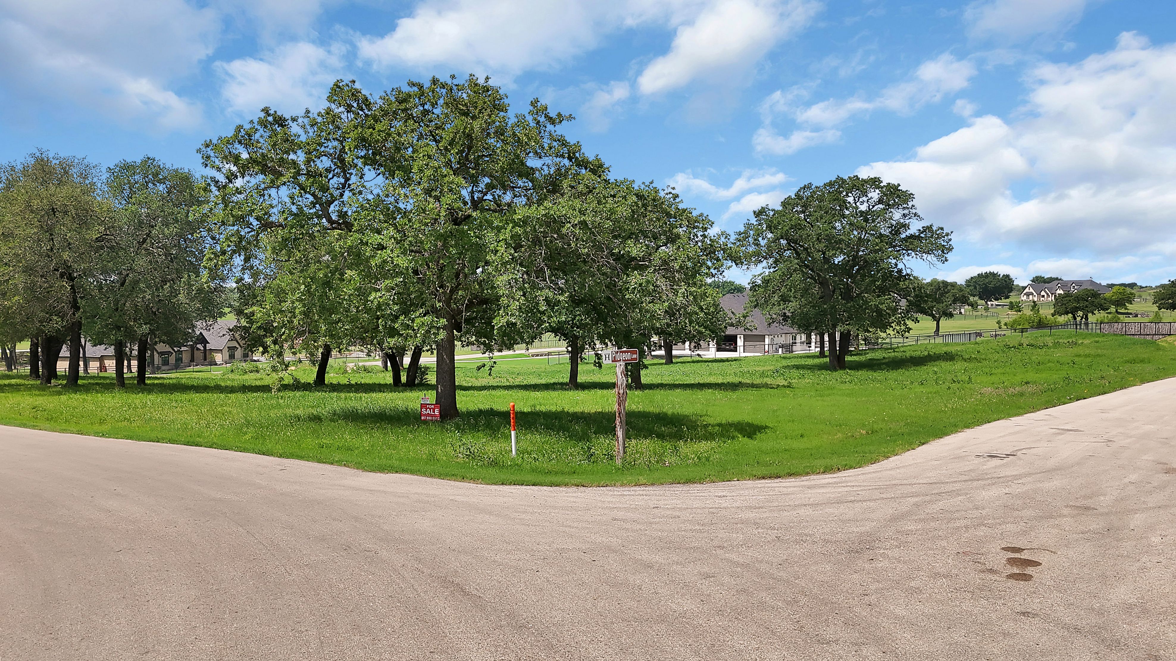  301 Pidgeon Lane, Weatherford, TX, 76087 - 物件實景