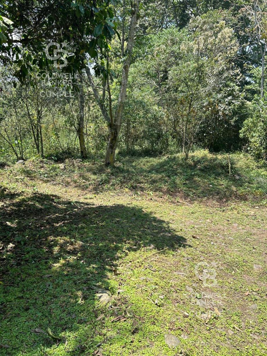 Tlalnelhuayocan, Veracruz de Ignacio de la Llave, 91230, Mexico, 1 Bedroom Bedrooms, ,Residential,For Sale,1829340