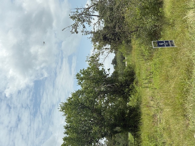 Lockhart, Texas, 78644, United States, ,Land,For Sale,1885352