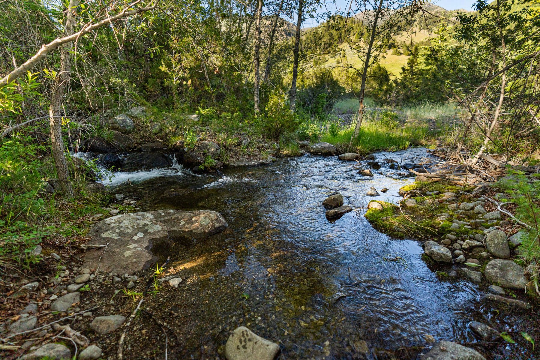  1580 Evan Reese Creek Rd - 物件實景