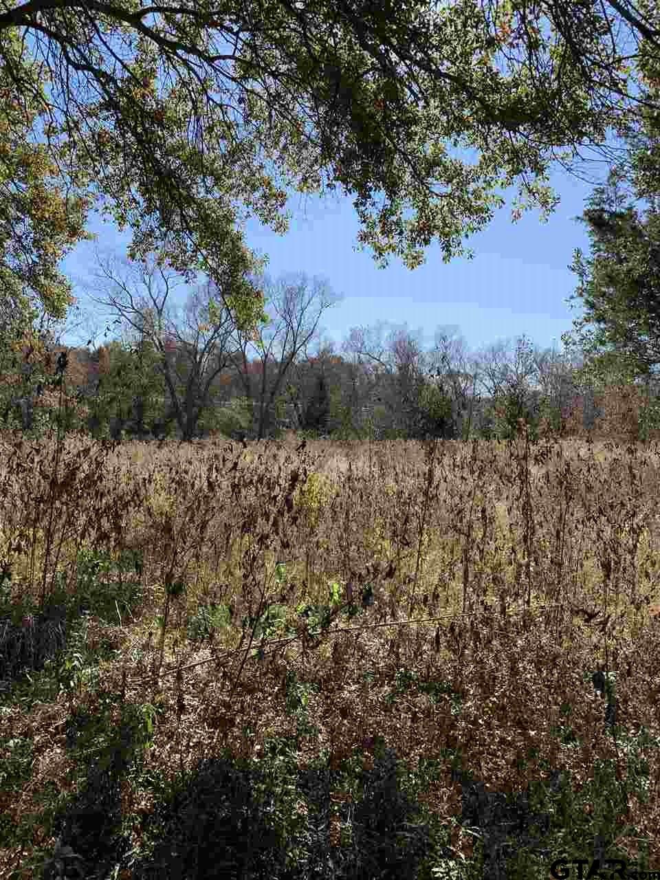 TBD CR 472 & I20, Lindale, Texas, 75771, United States, ,Land,For Sale,TBD CR 472 & I20,1673371