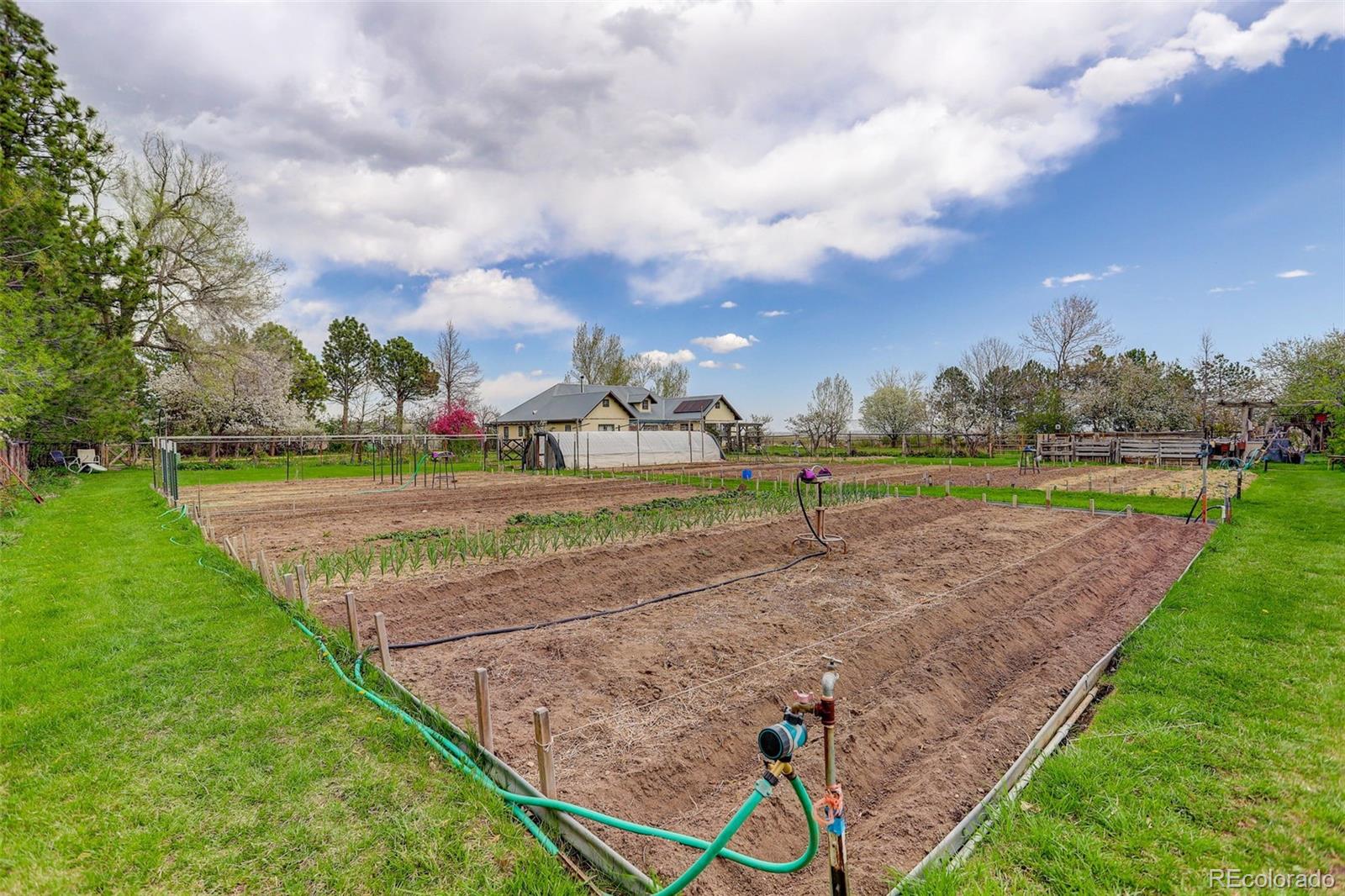 Longmont, Colorado, 80503, United States, 3 Bedrooms Bedrooms, ,1 BathroomBathrooms,Residential,For Sale,1826397