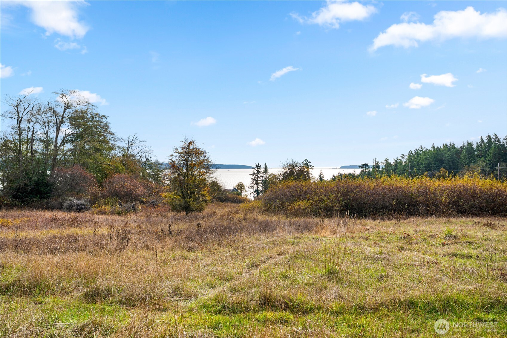 Friday Harbor, Washington, 98250, United States, ,Land,For Sale,1991931