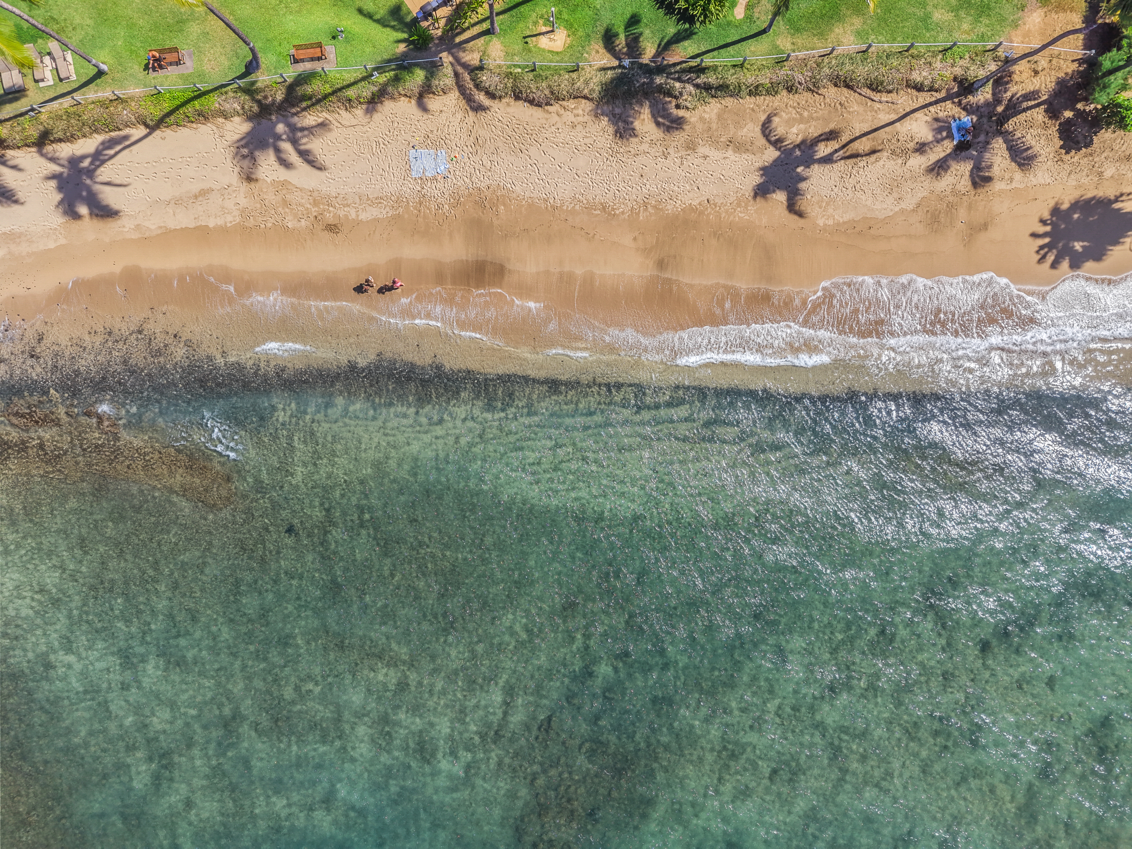  Oceanfront Living - 物件實景