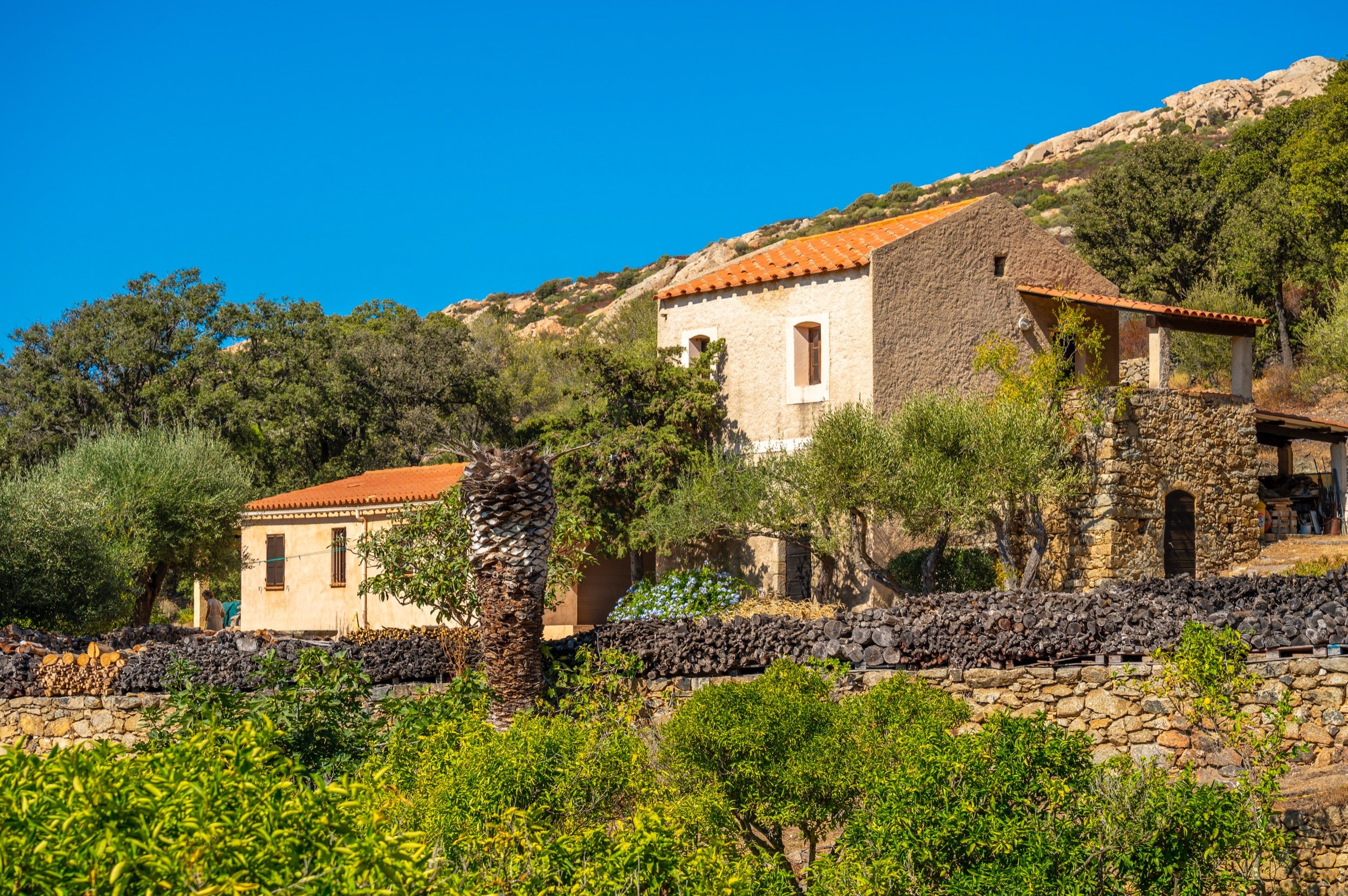  SALE : Superb property of 1.3 hectares overlooking the sea - Swimming pool - Lu… - 物件實景
