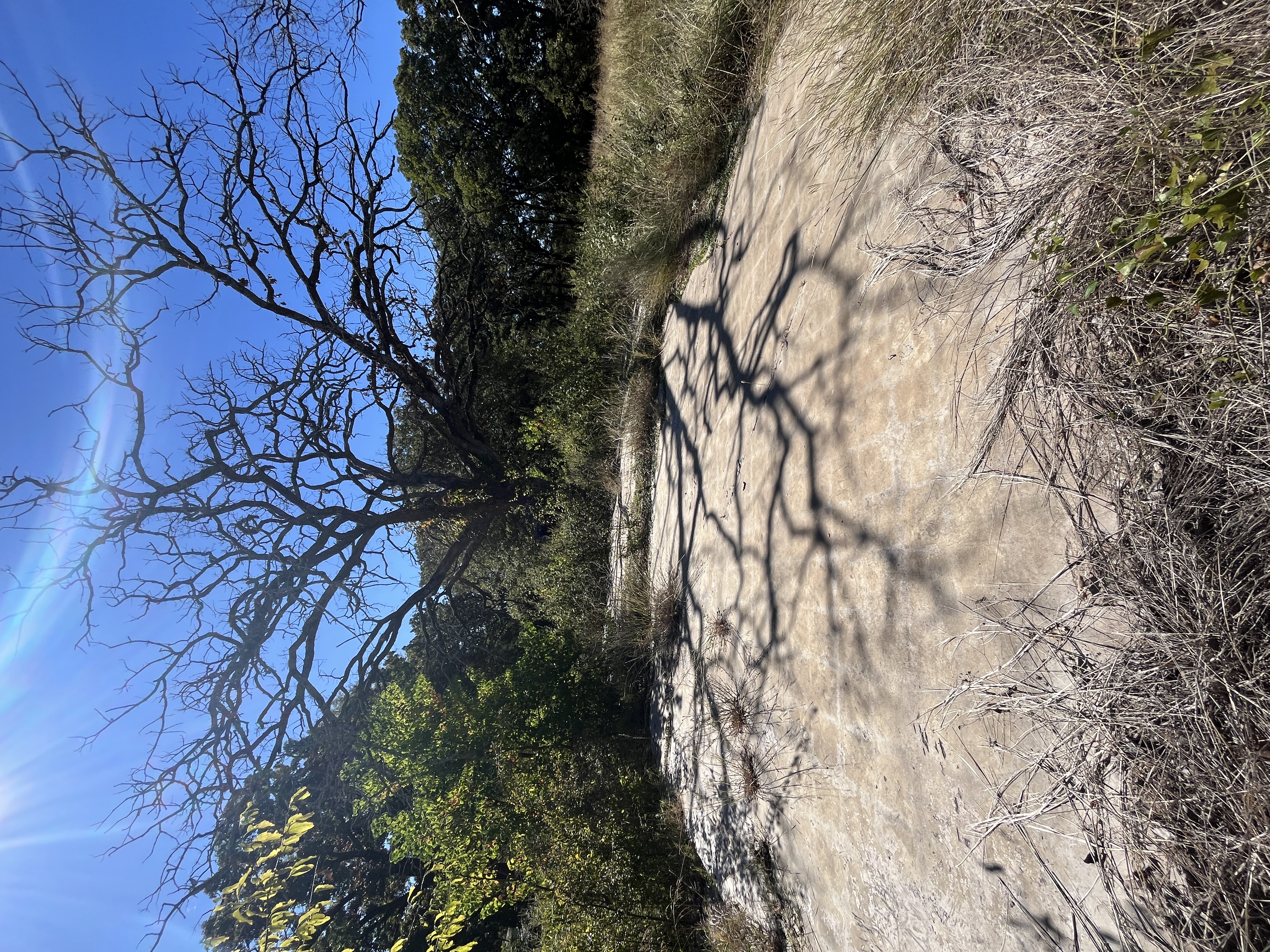 West Tawakoni, Texas, 75474, United States, ,Land,For Sale,1975357