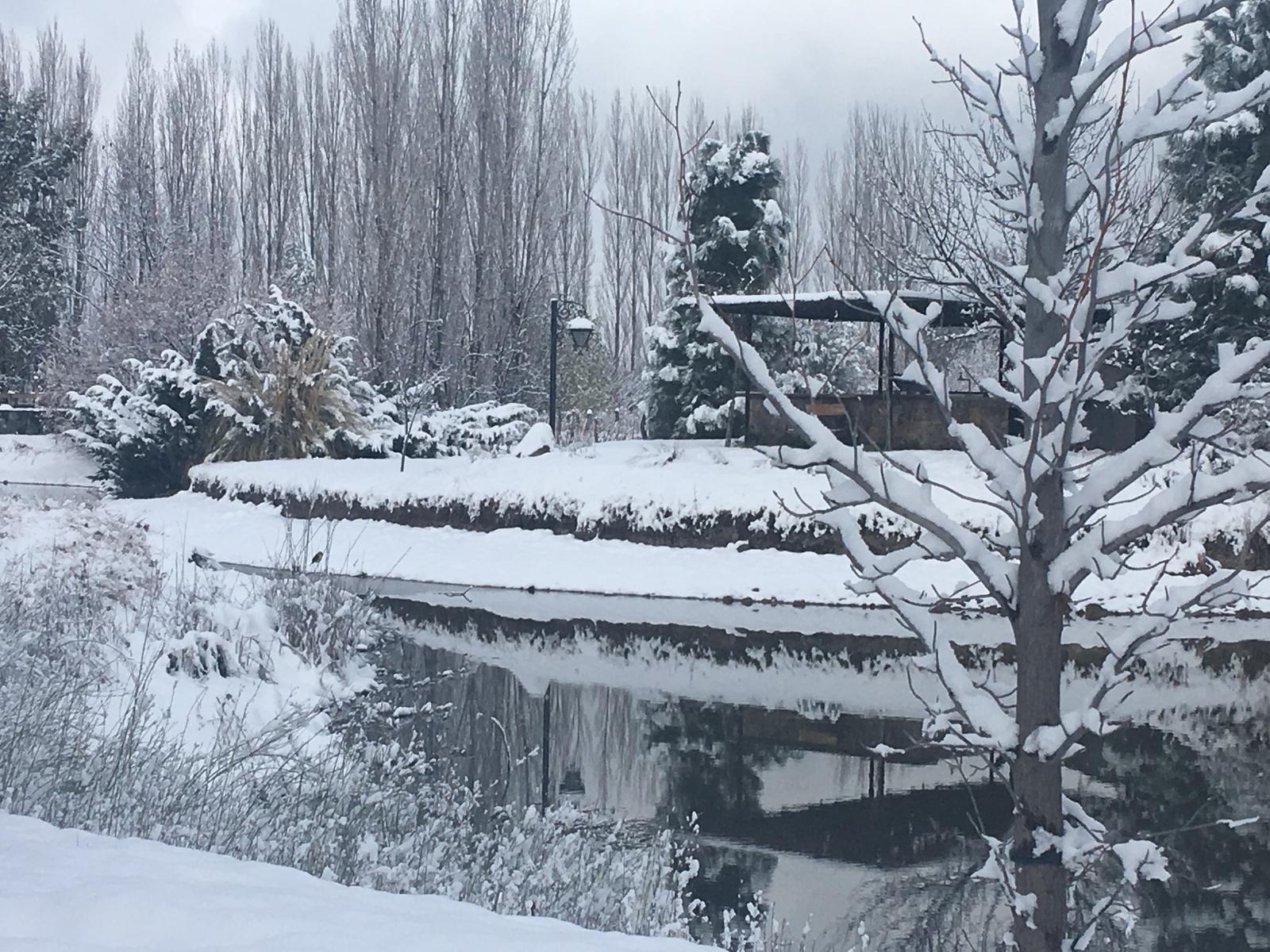 Lujan De Cuyo, AR-M, AR, 5 Bedrooms Bedrooms, ,8 BathroomsBathrooms,Residential,For Sale,1999071