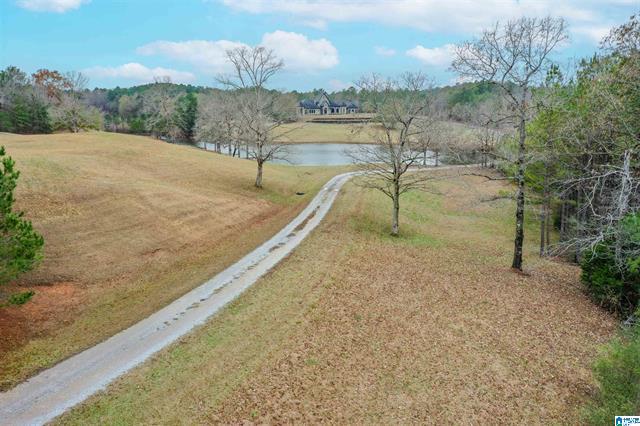 Calera, Alabama, 35040, United States, 5 Bedrooms Bedrooms, ,6 BathroomsBathrooms,Residential,For Sale,2006341