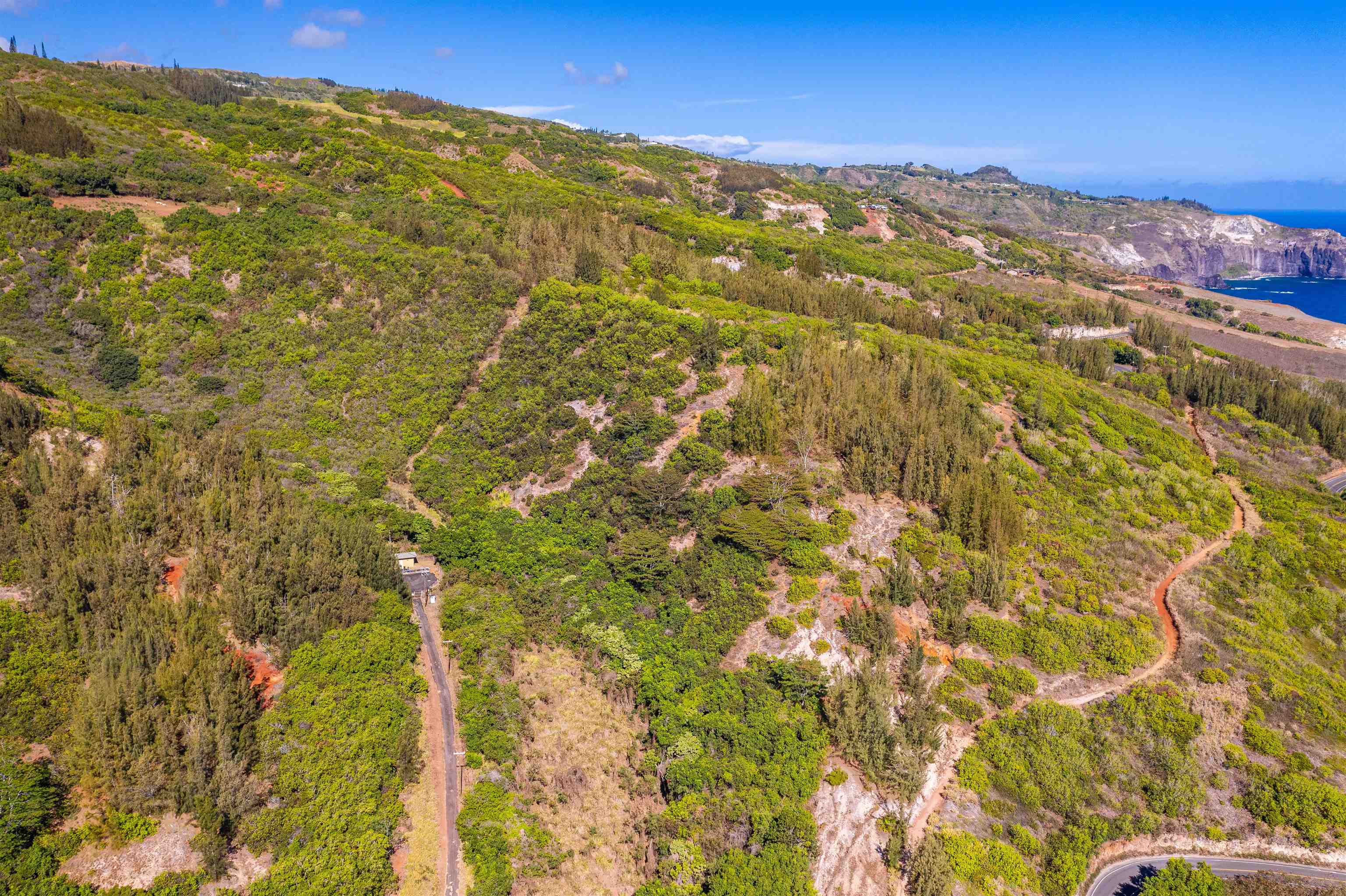 Wailuku, Hawaii, 96793, United States, ,Land,For Sale,1770651