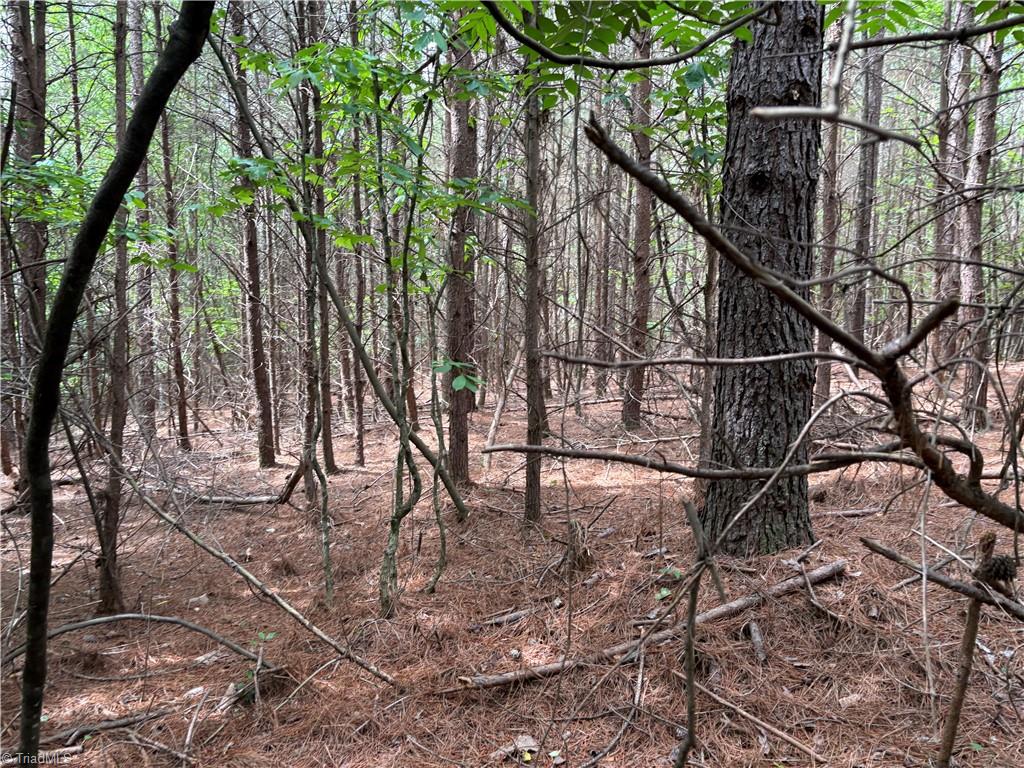 Pinnacle, North Carolina, 27043, United States, ,Land,For Sale,1829534
