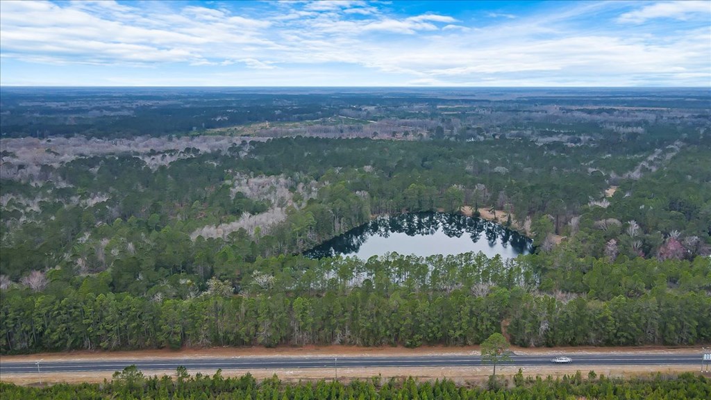 156 AC Us Hwy 17 Hwy, Townsend, Georgia, 31331, United States, ,Land,For Sale,156 AC Us Hwy 17 Hwy,1472997