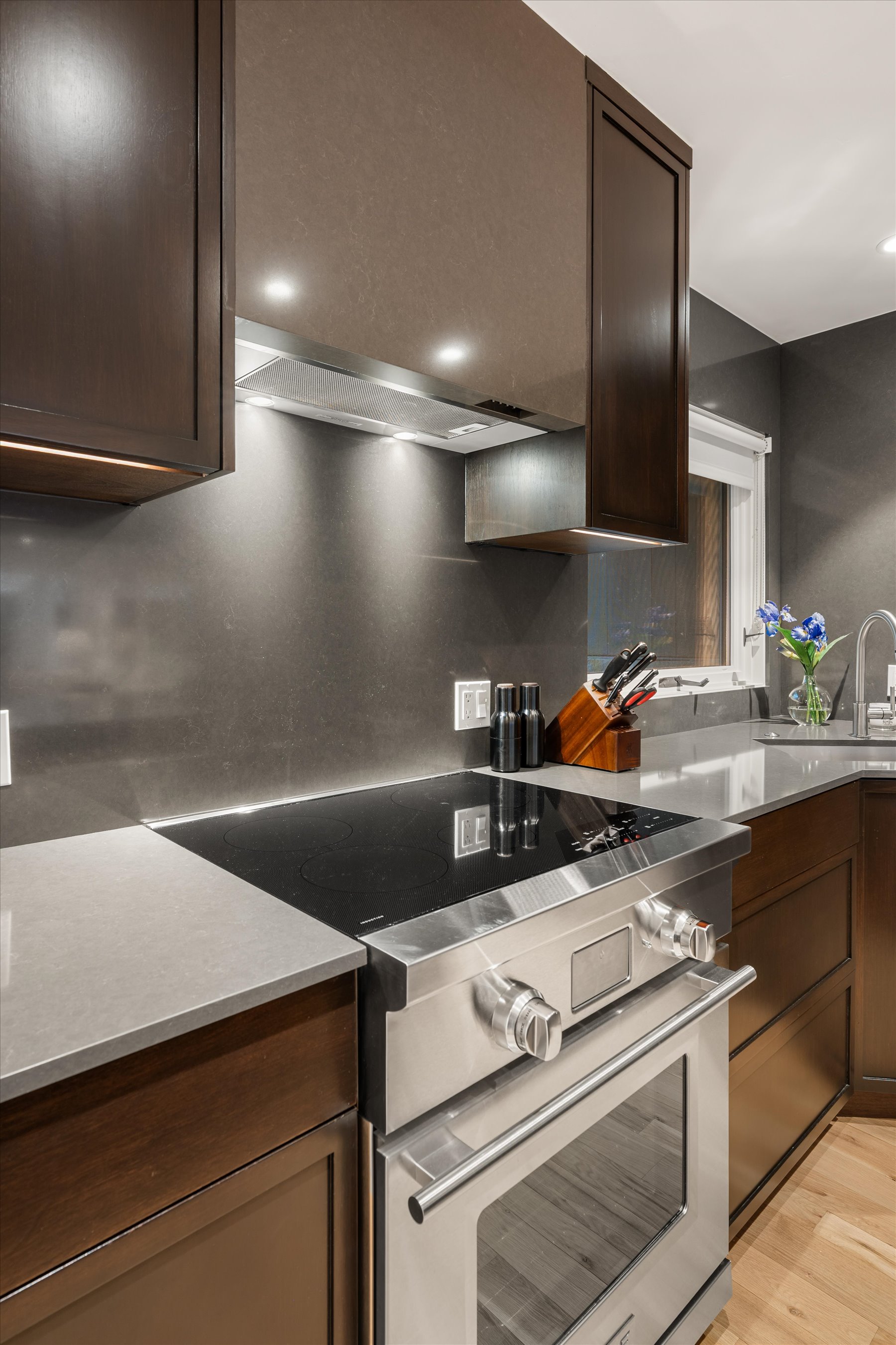 100 North 8th Street, Aspen, CO 81611 - 物件實景