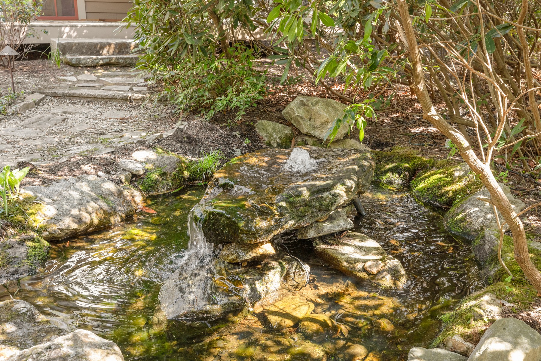  Birdsong - 物件實景