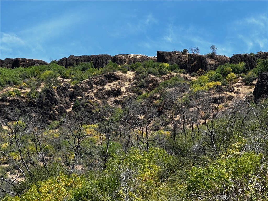 Chico, California, 95928, United States, ,Land,For Sale,1974273