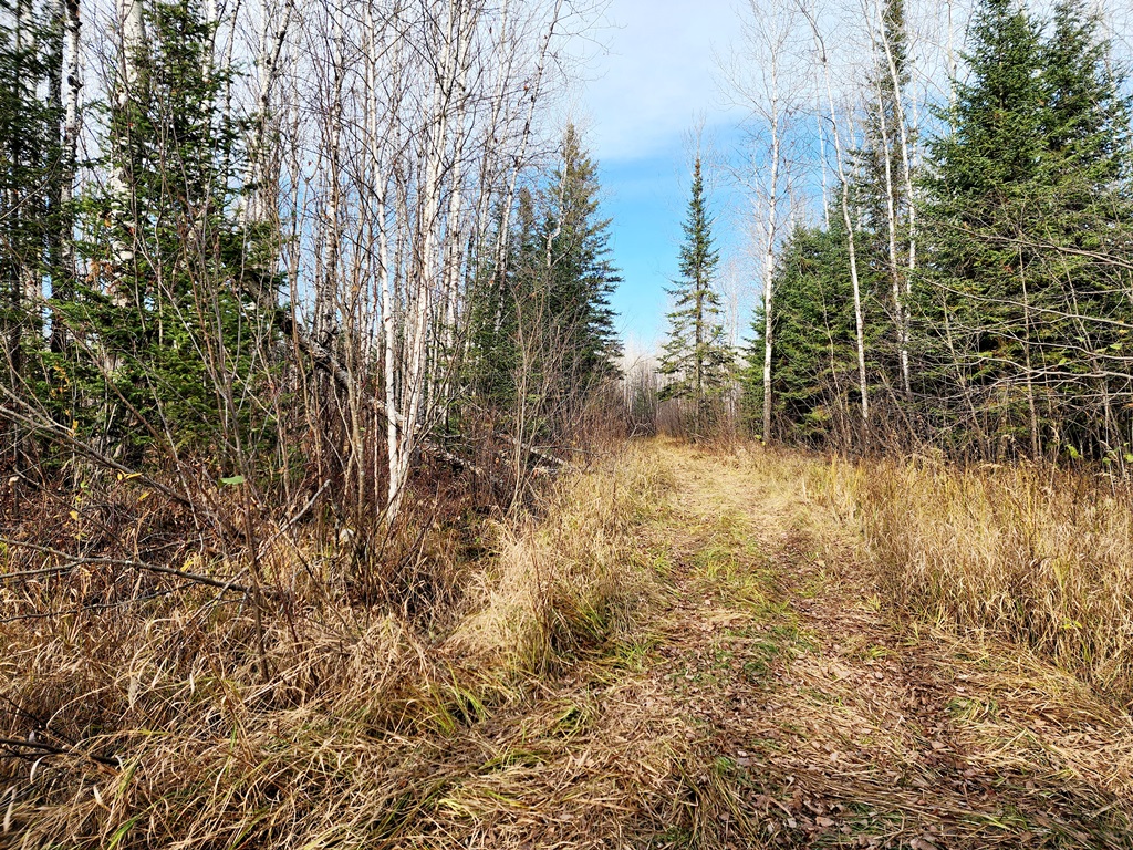 Grand Rapids, Minnesota, 55744, United States, ,Land,For Sale,1983791