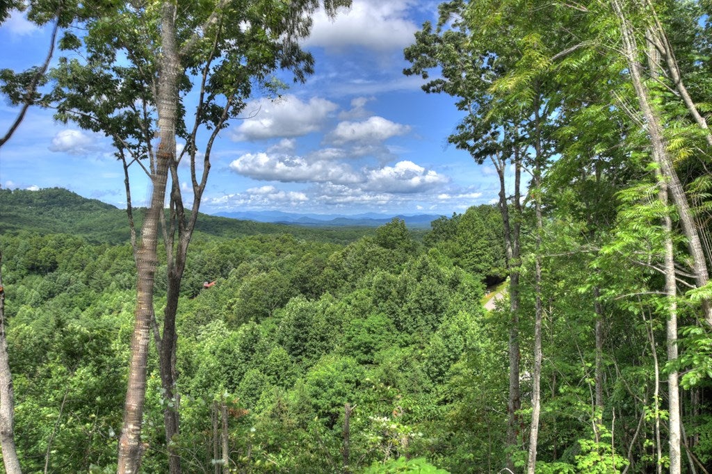 Mineral Bluff, Georgia, 30559, United States, 4 Bedrooms Bedrooms, ,4 BathroomsBathrooms,Residential,For Sale,1871299