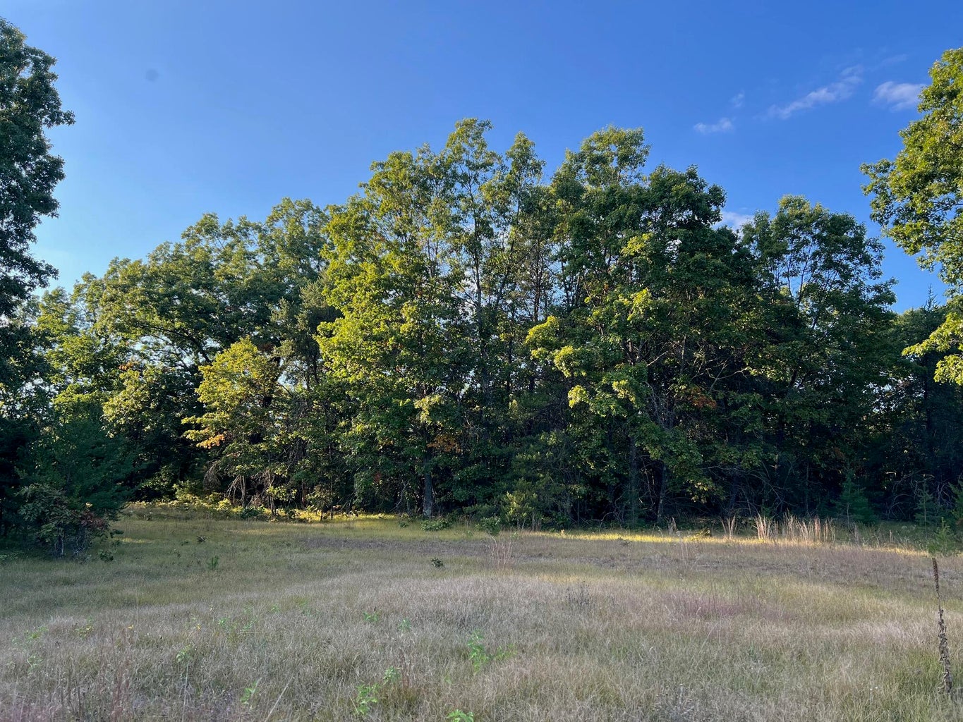 Baldwin, Michigan, 49304, United States, 3 Bedrooms Bedrooms, ,2 BathroomsBathrooms,Residential,For Sale,1990507